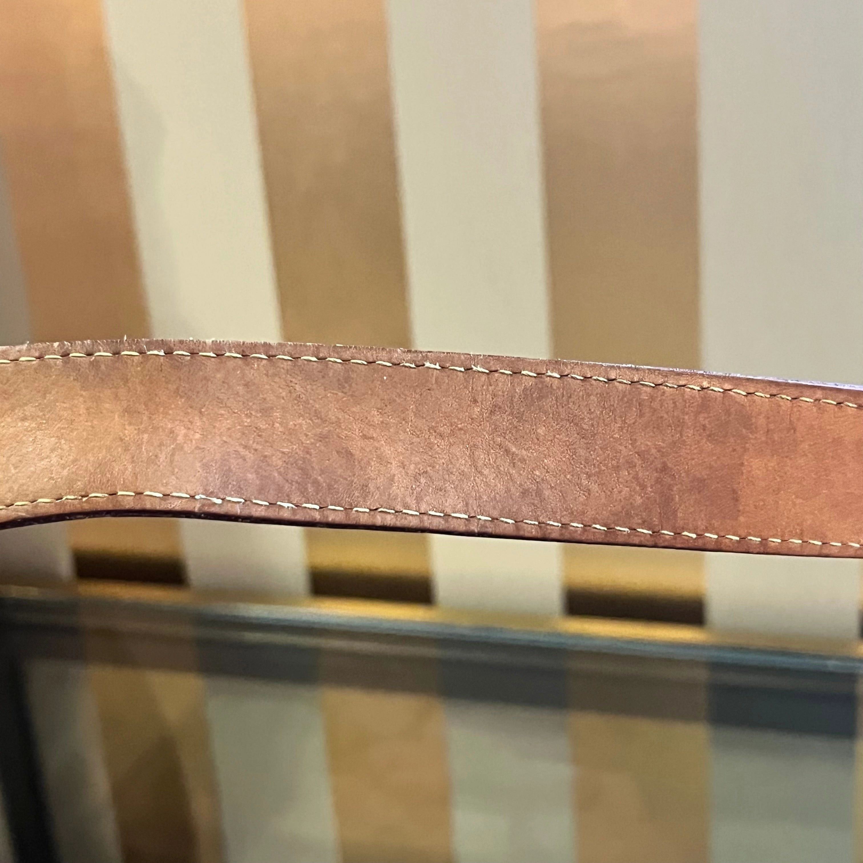 LOUIS VUITTON Monogram Canvas Galliera PM Bag