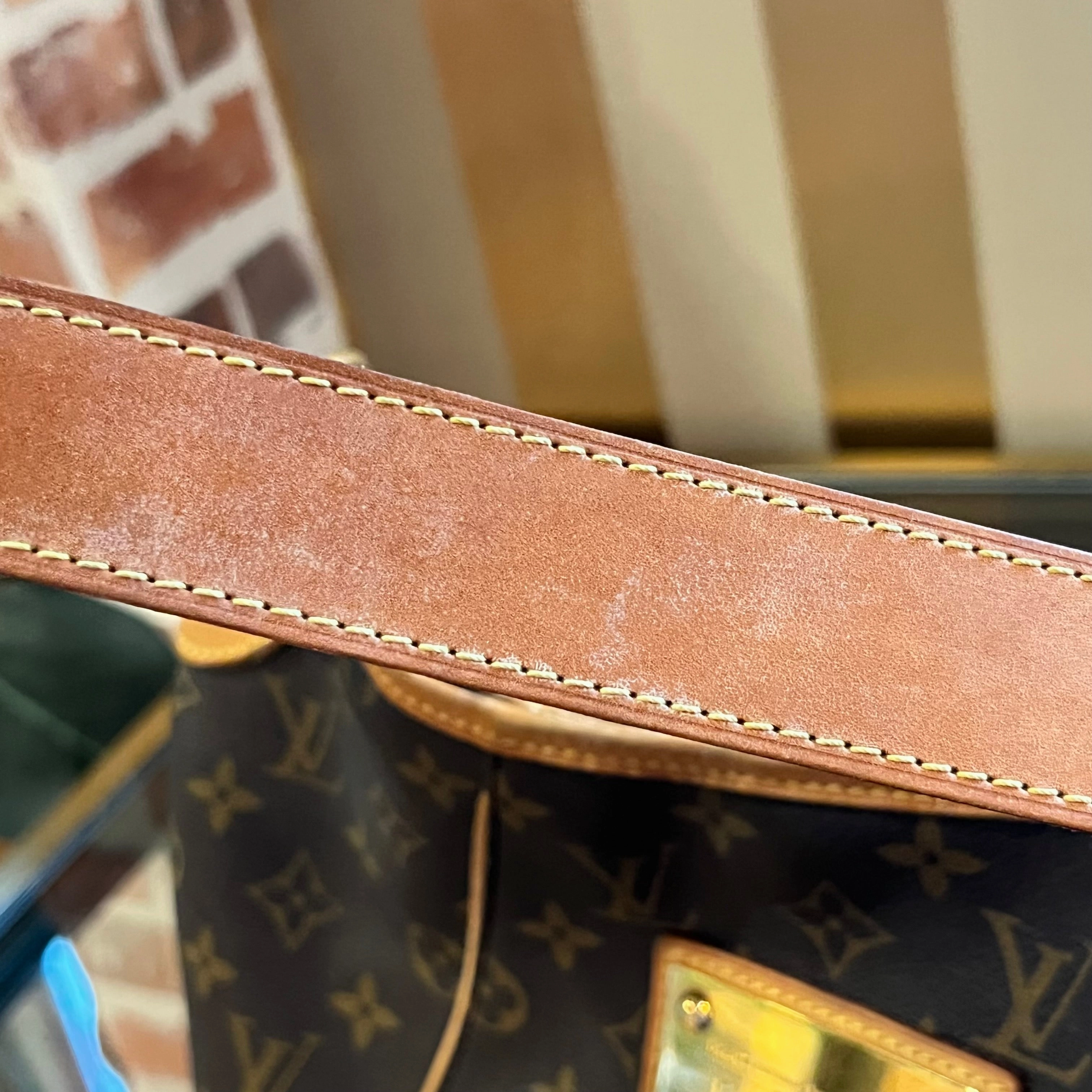 LOUIS VUITTON Monogram Canvas Galliera PM Bag