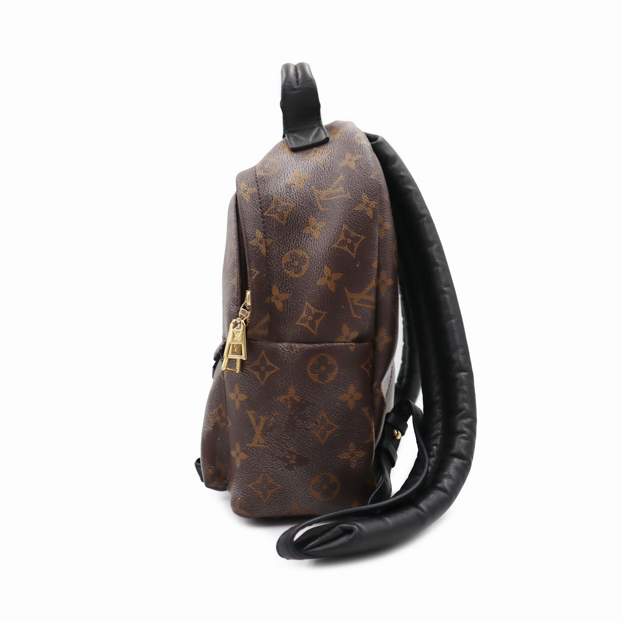 Louis Vuitton Monogram Canvas Palm Springs PM Backpack PL1106