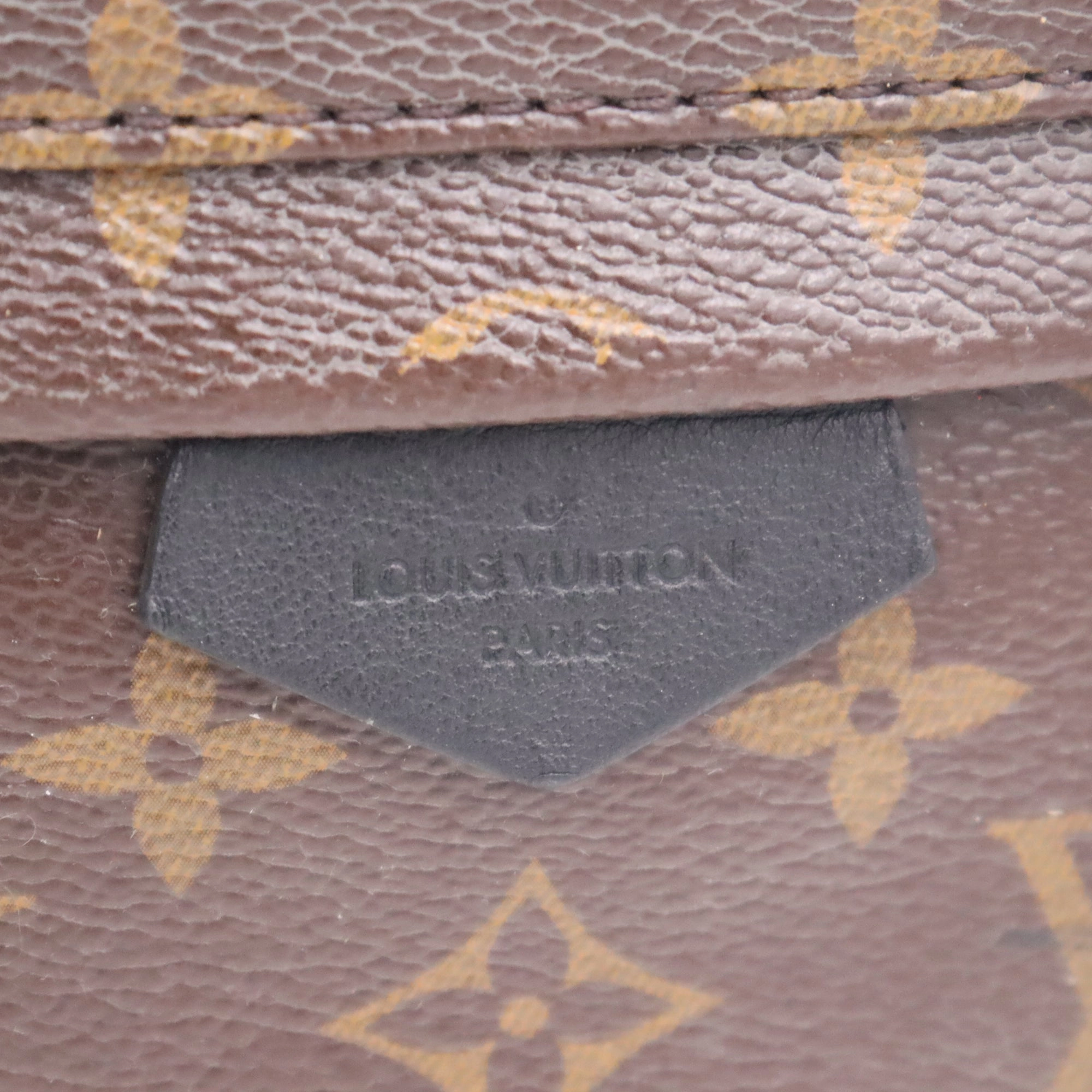 Louis Vuitton Monogram Canvas Palm Springs PM Backpack PL1106