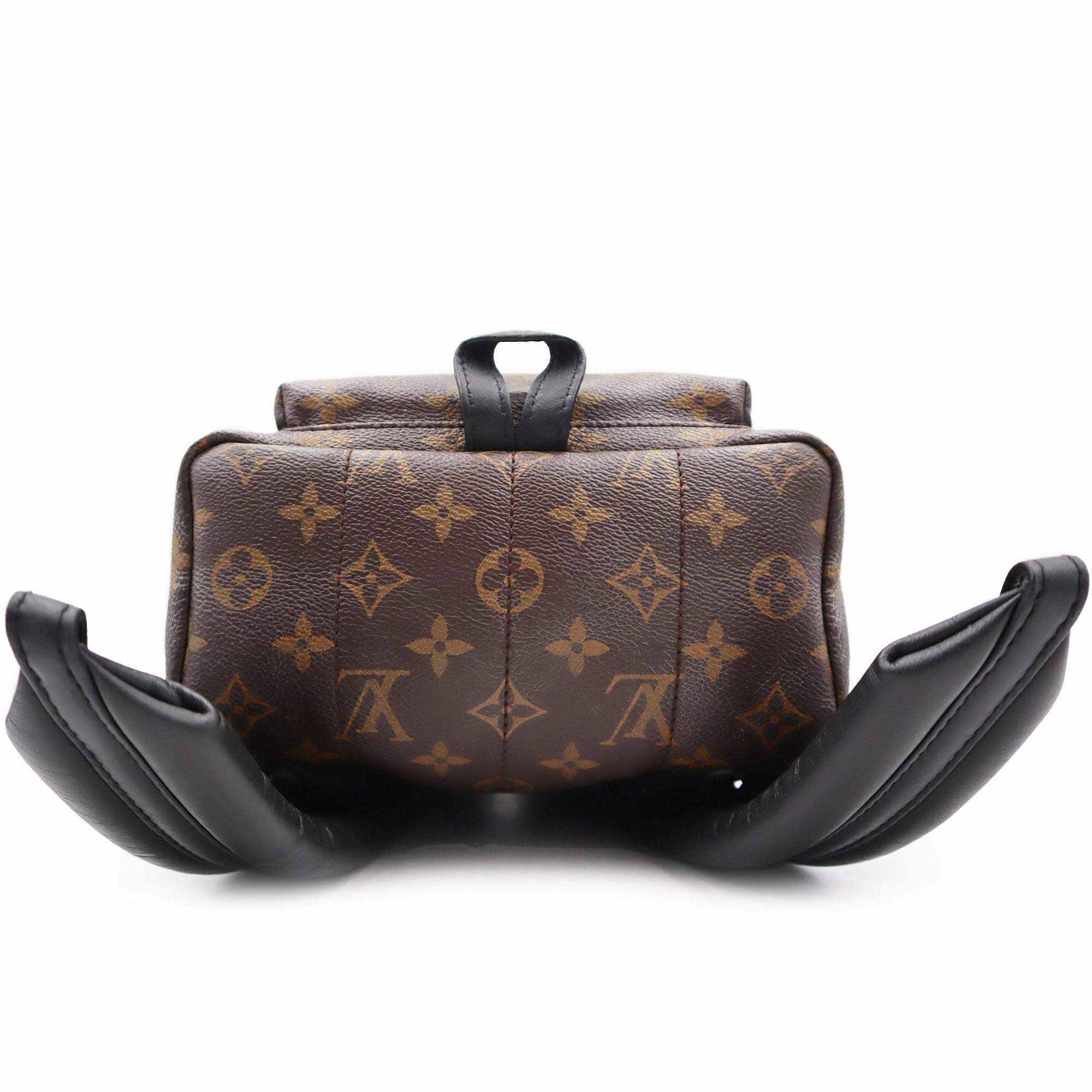 Louis Vuitton Monogram Canvas Palm Springs PM Backpack PL1106