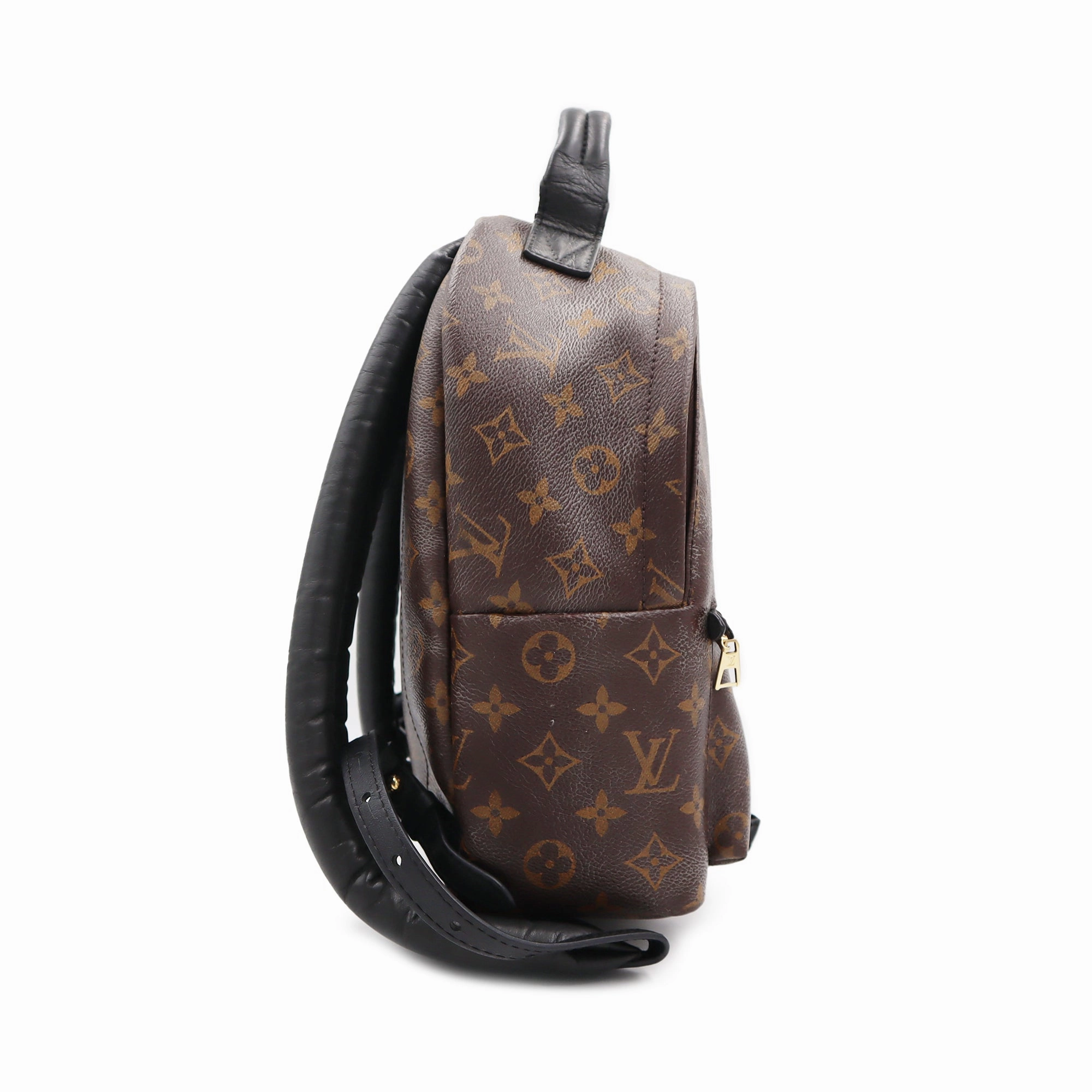 Louis Vuitton Monogram Canvas Palm Springs PM Backpack PL1106