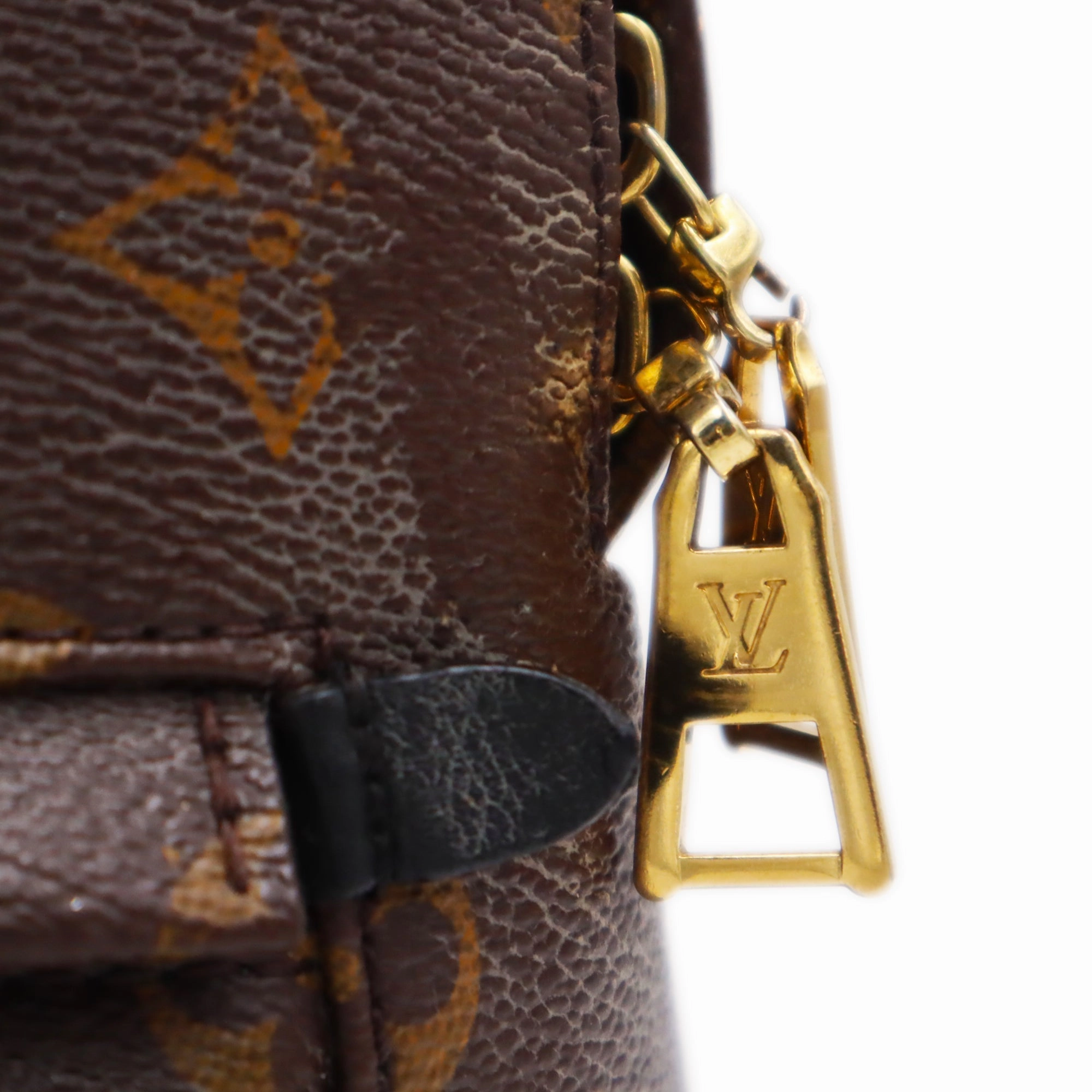 Louis Vuitton Monogram Canvas Palm Springs PM Backpack PL1106