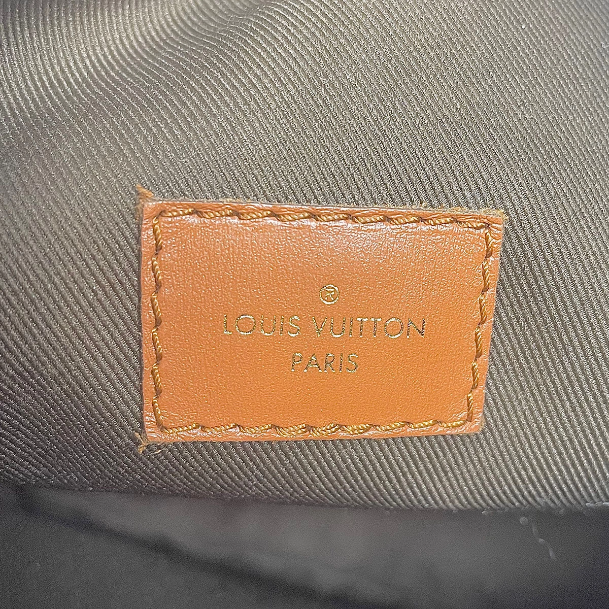 Louis Vuitton Monogram Loop Hobo