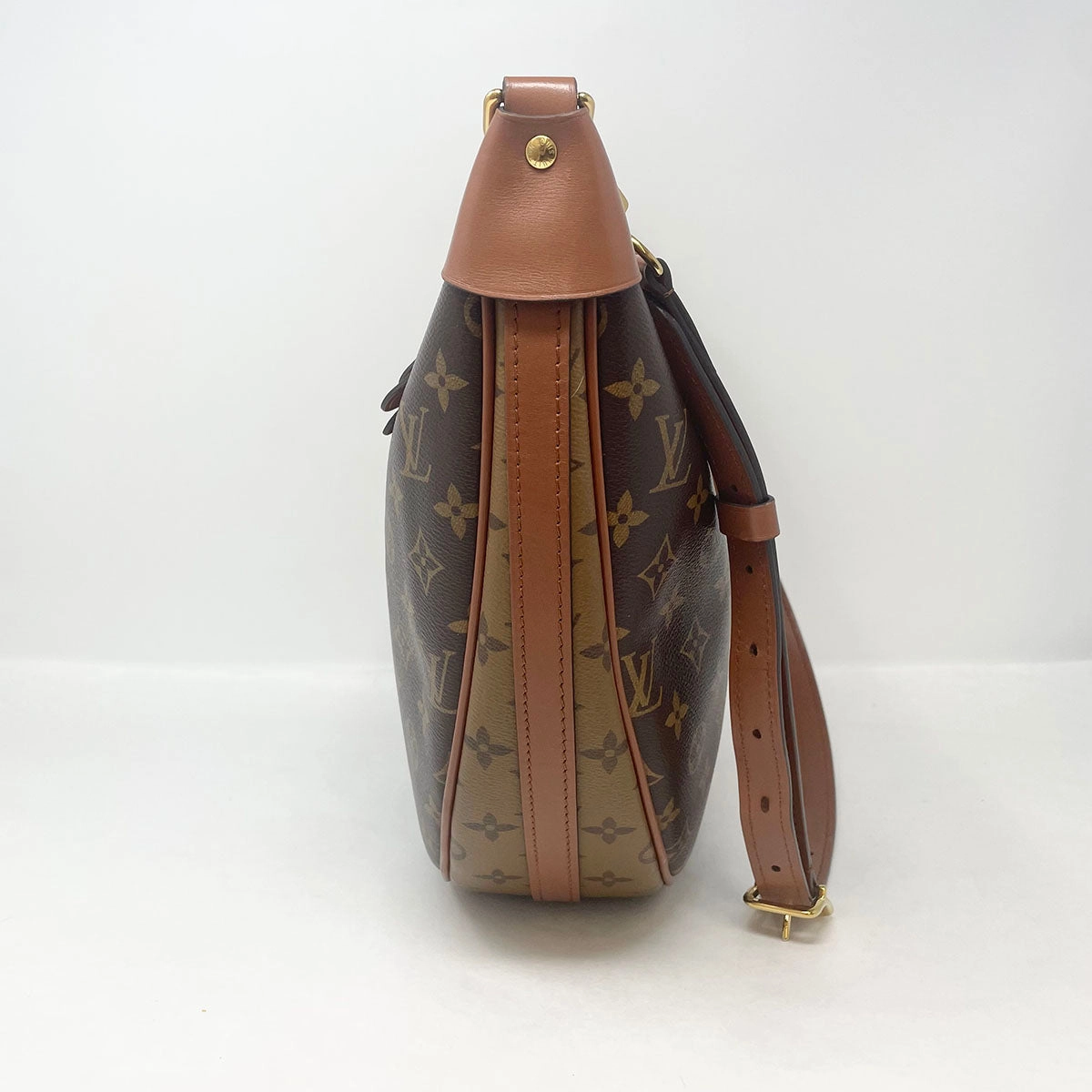 Louis Vuitton Monogram Loop Hobo
