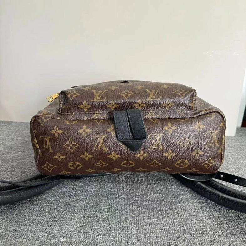 Louis Vuitton Monogram Palm Springs Backpack Brown Medium