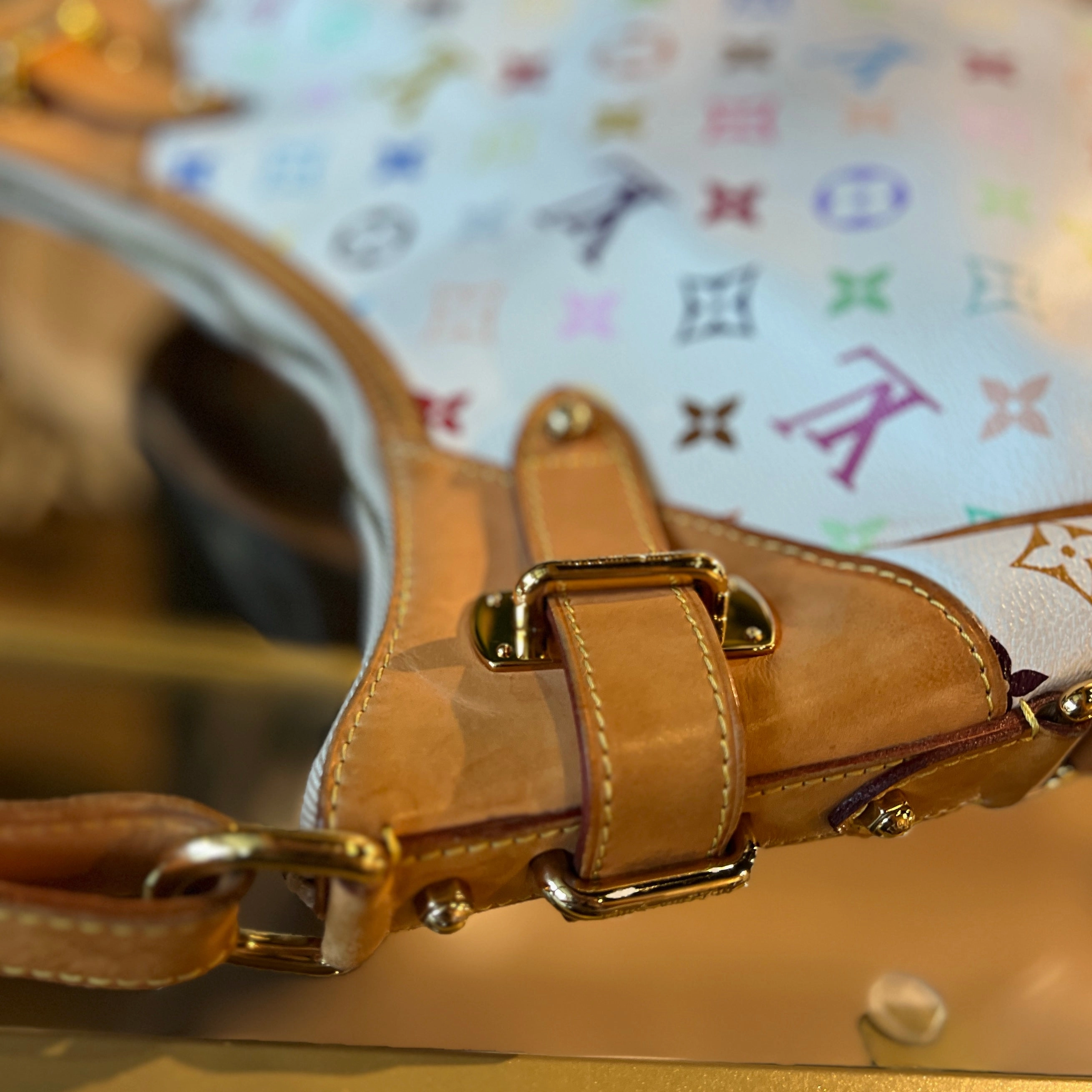 LOUIS VUITTON Multicolor Greta Hobo Shoulder Bag