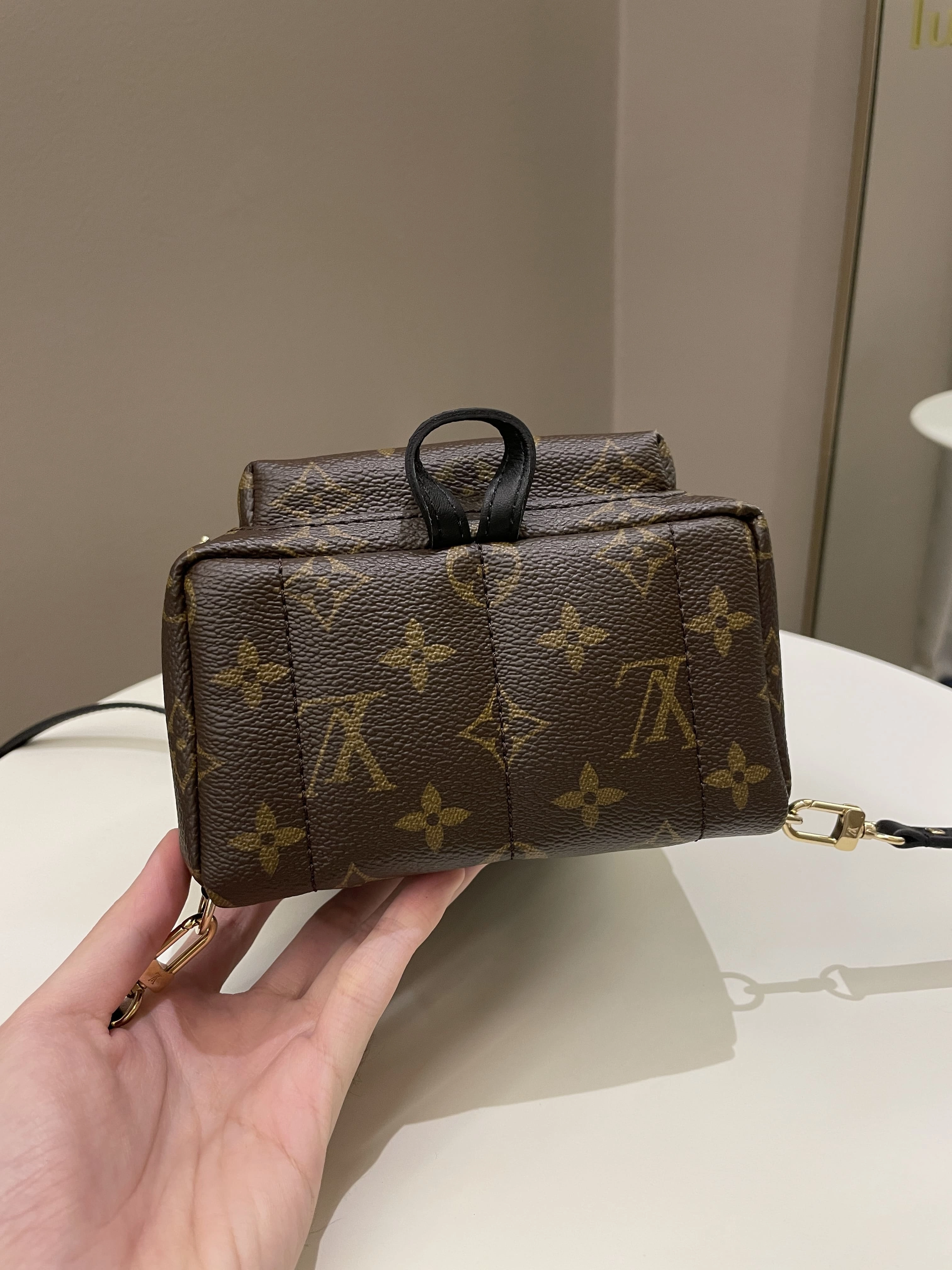Louis Vuitton Palm Spring Mini Backpack Classic Monogram