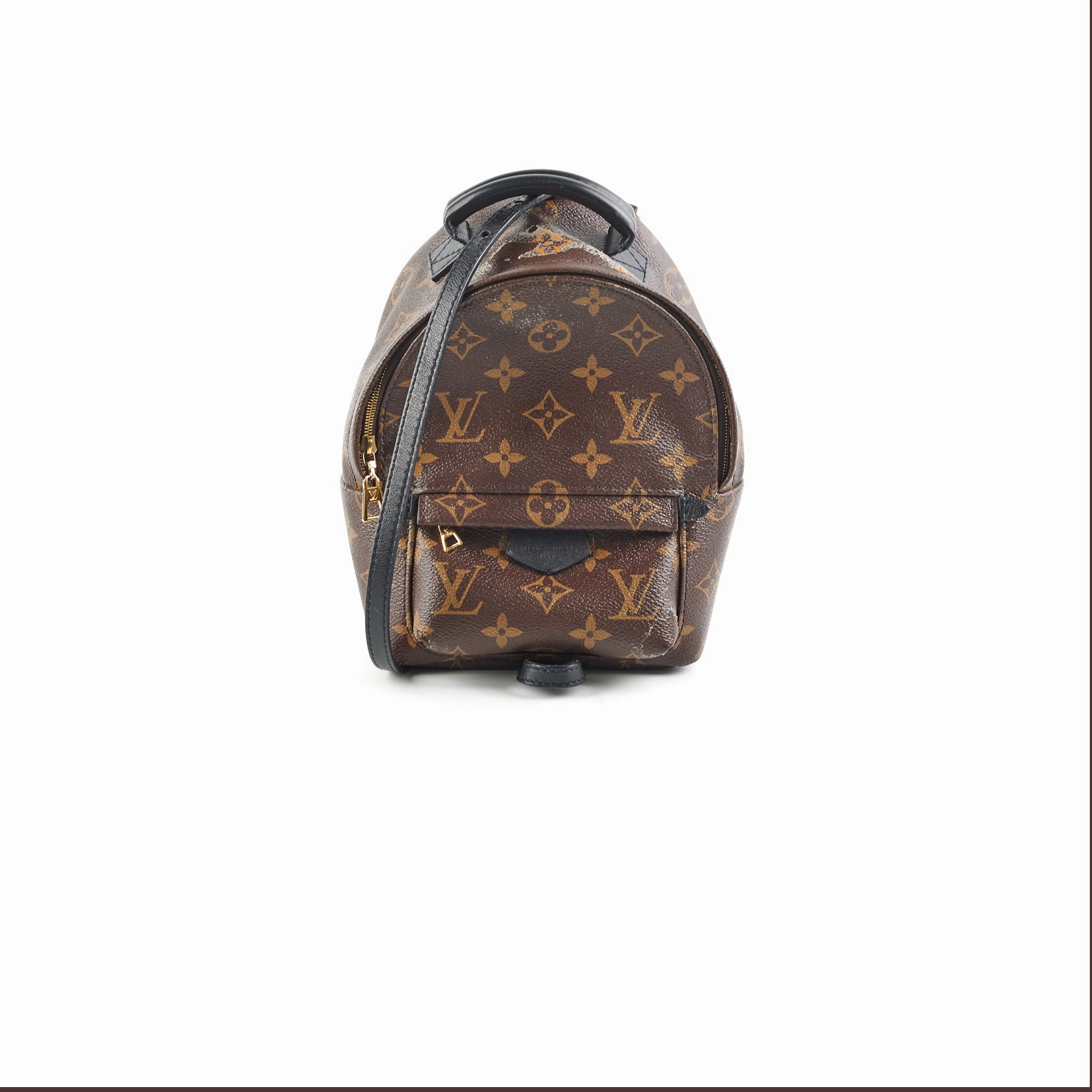 Louis Vuitton Palm Spring Mini Monogram