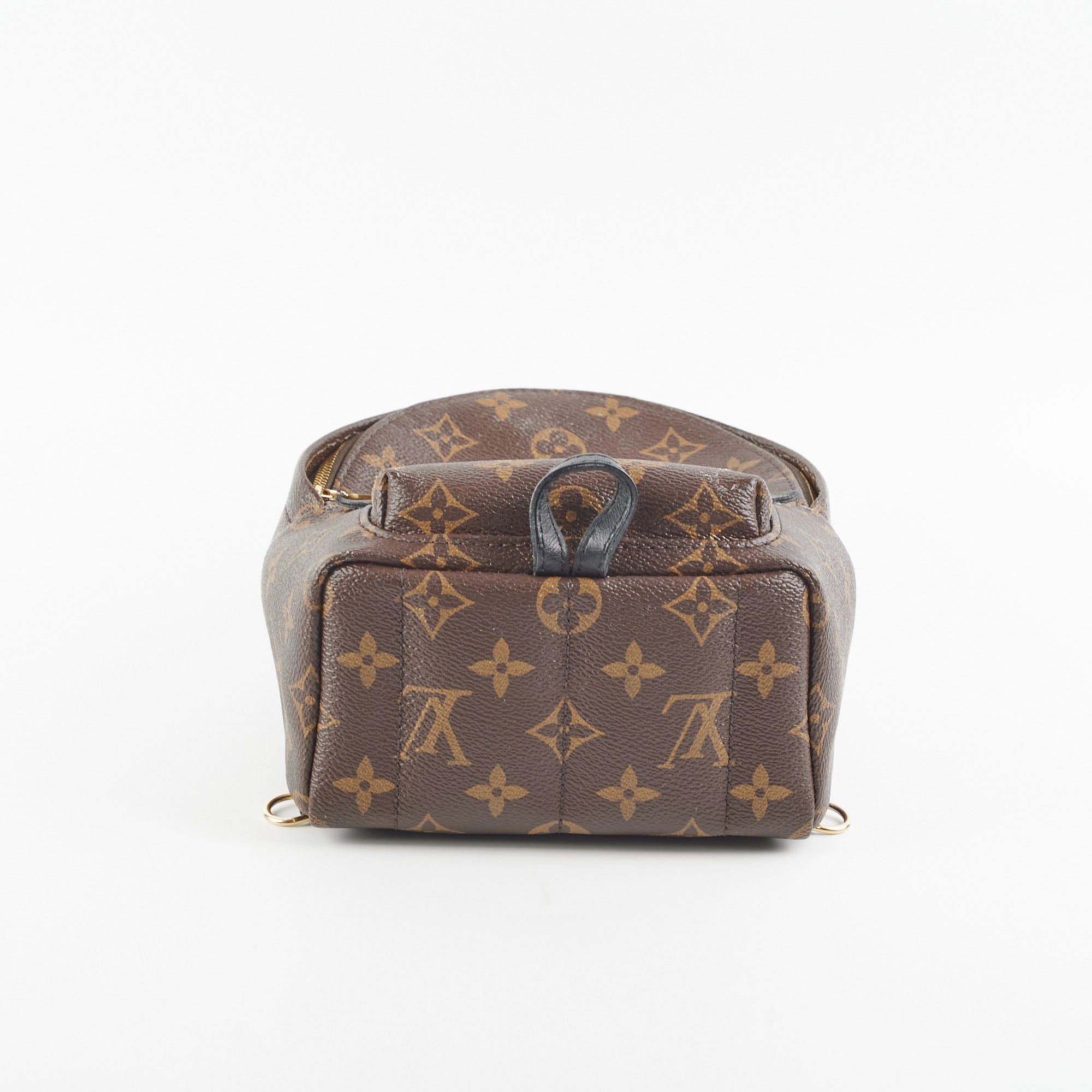 Louis Vuitton Palm Spring Mini Monogram