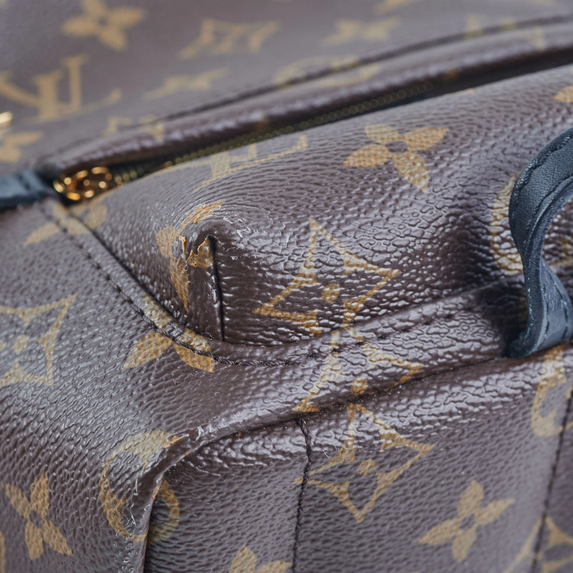 Louis Vuitton Palm Spring Mini Monogram