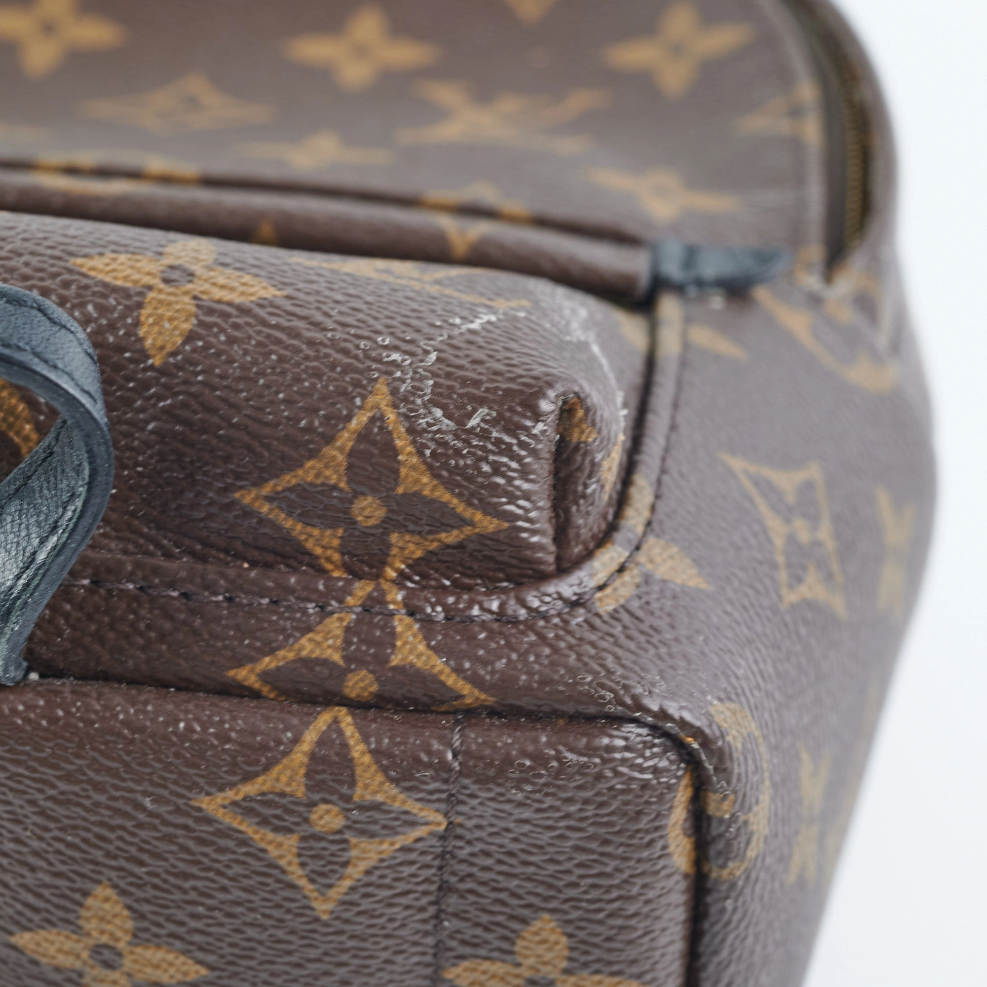 Louis Vuitton Palm Spring Mini Monogram