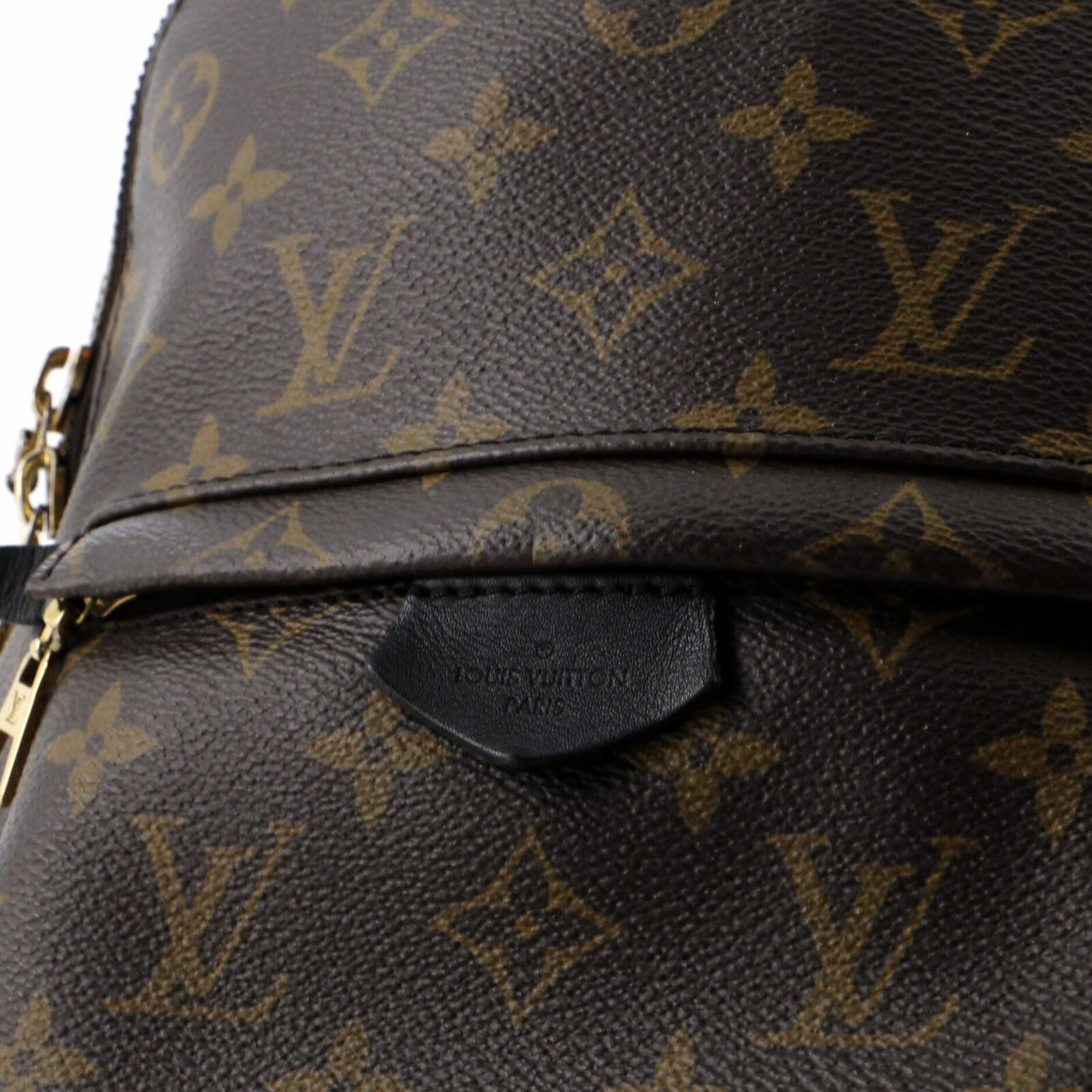 Louis Vuitton Palm Springs Backpack