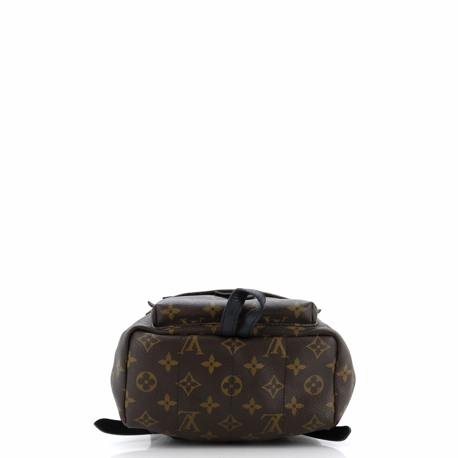 Louis Vuitton Palm Springs Backpack