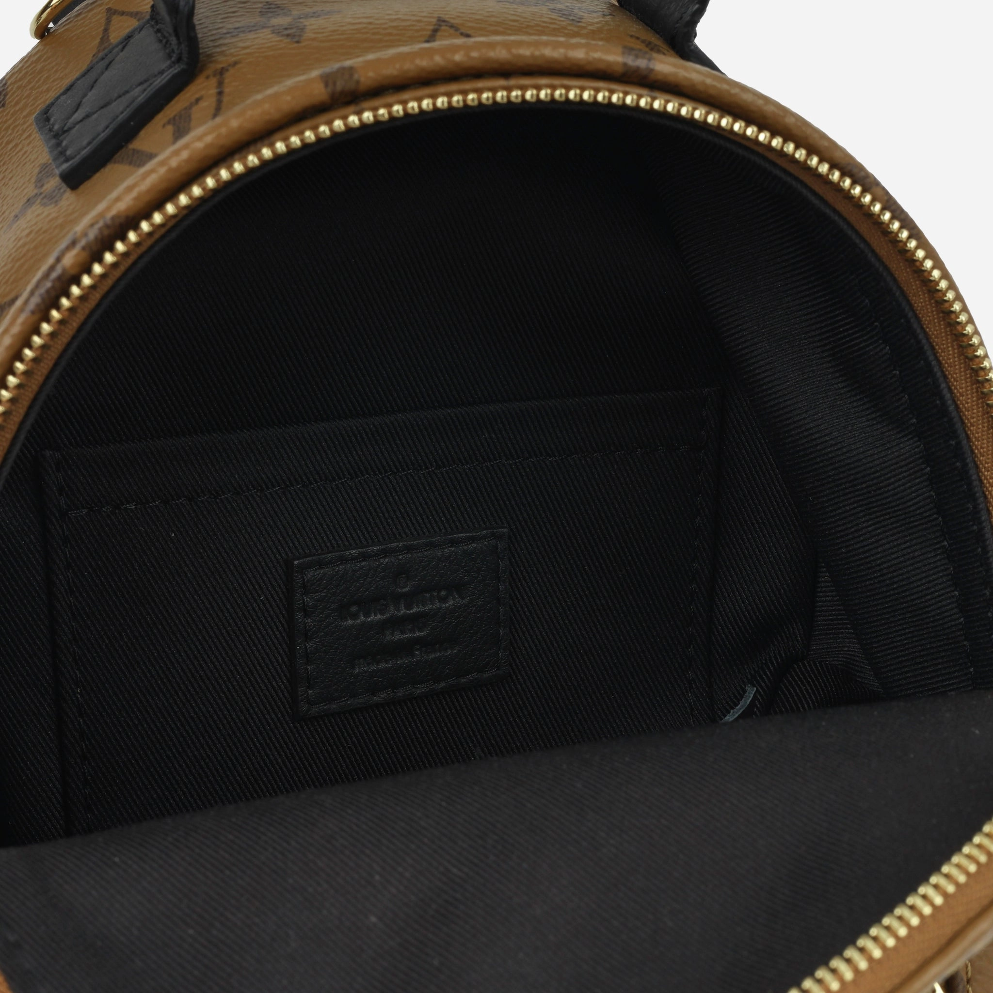 Louis Vuitton Palm Springs Backpack - Mini