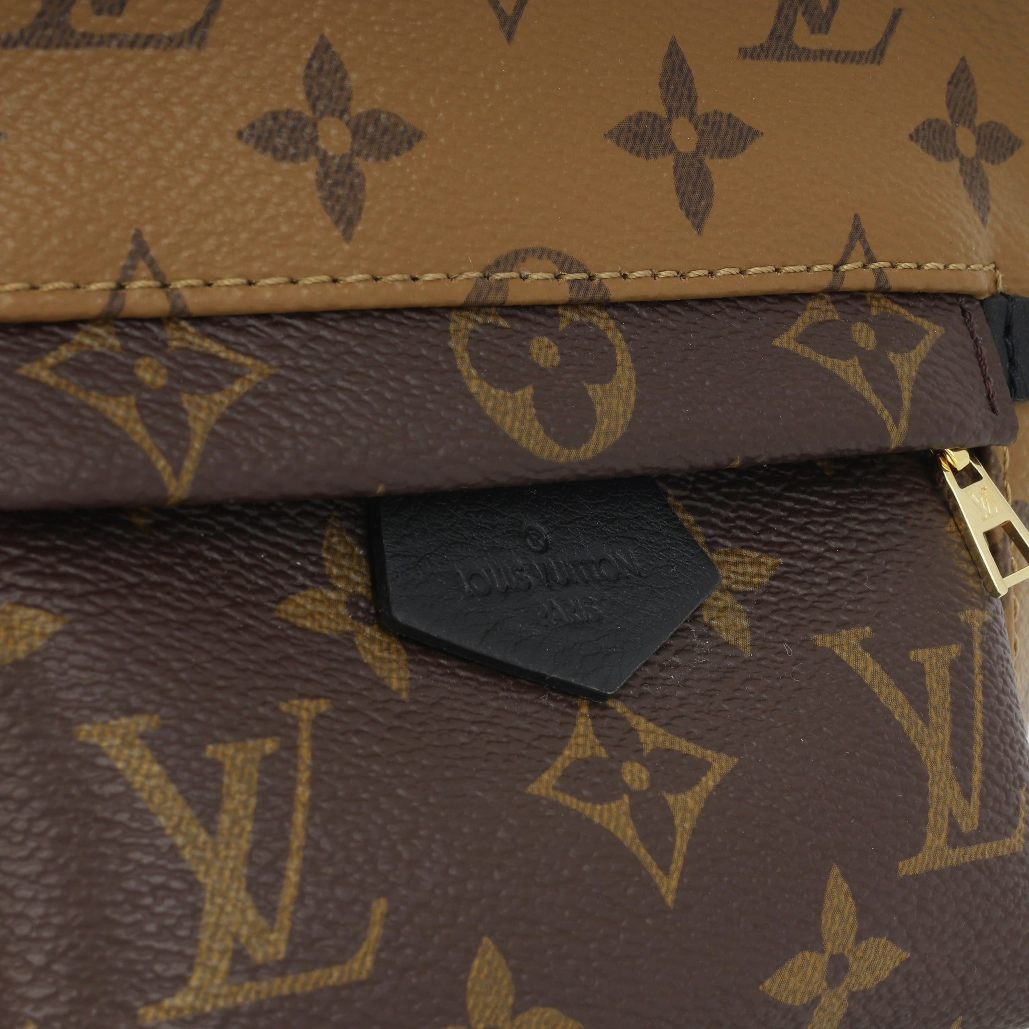 Louis Vuitton Palm Springs Backpack - Mini