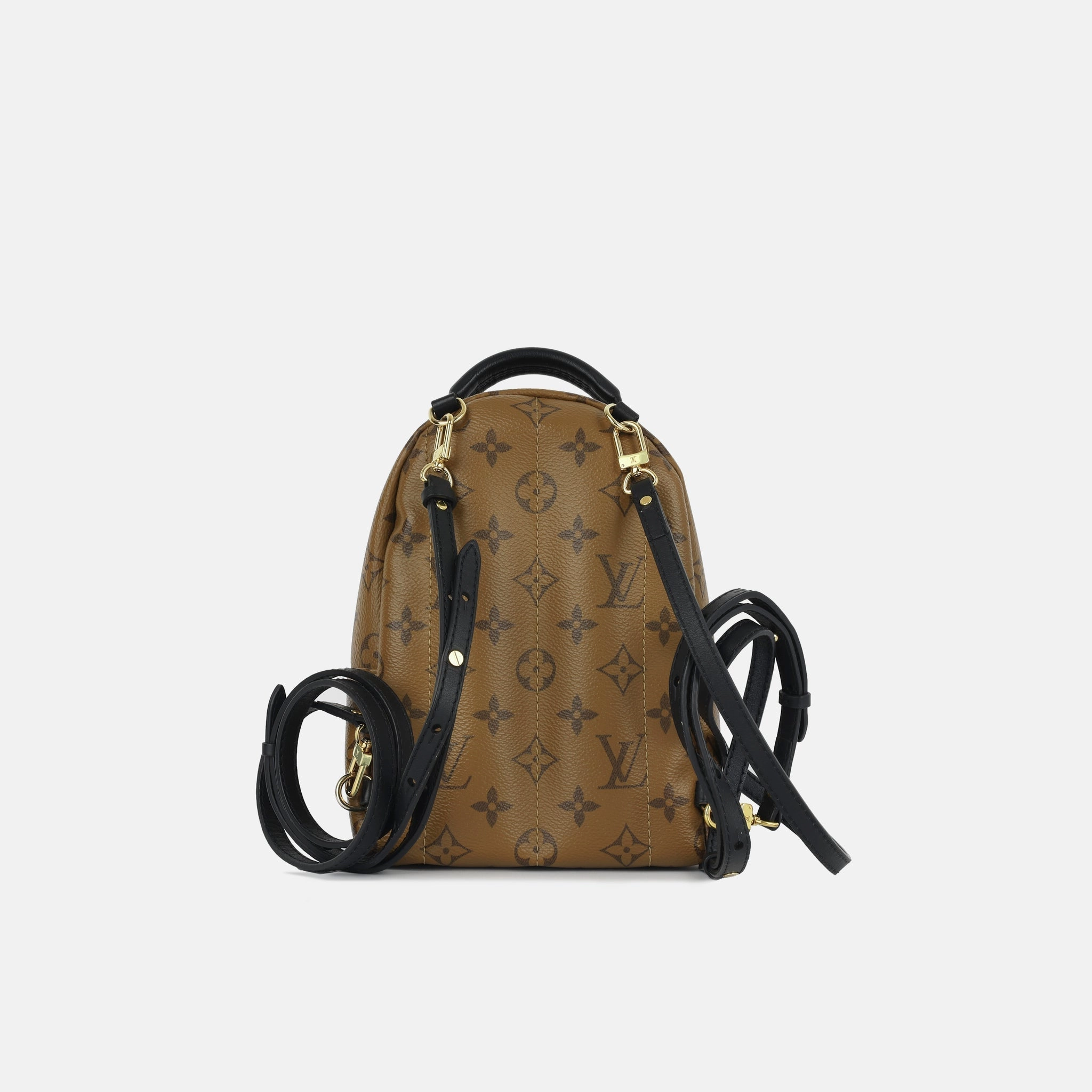 Louis Vuitton Palm Springs Backpack - Mini
