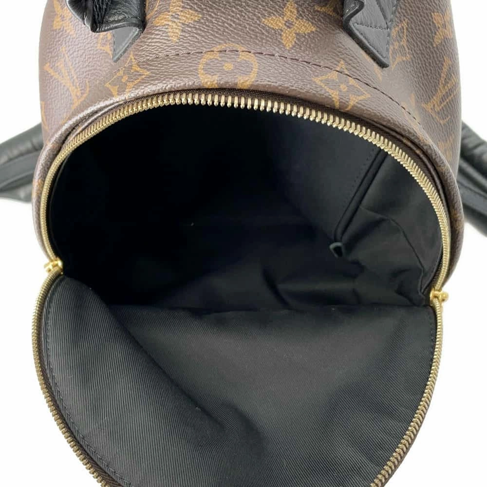LOUIS VUITTON Palm Springs Backpack NoirM44871 Monogram Size PM