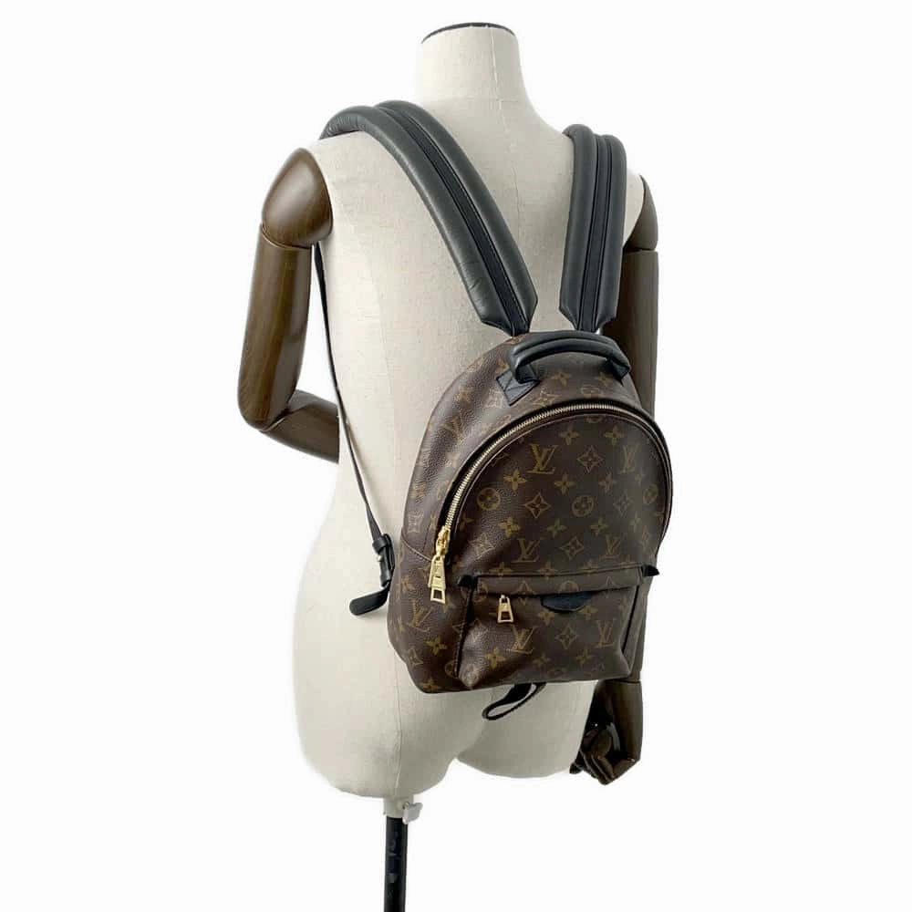 LOUIS VUITTON Palm Springs Backpack NoirM44871 Monogram Size PM