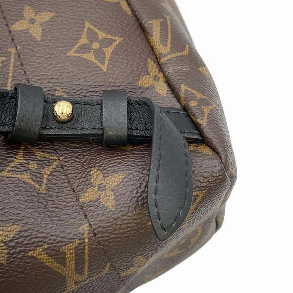 LOUIS VUITTON Palm Springs Backpack NoirM44871 Monogram Size PM