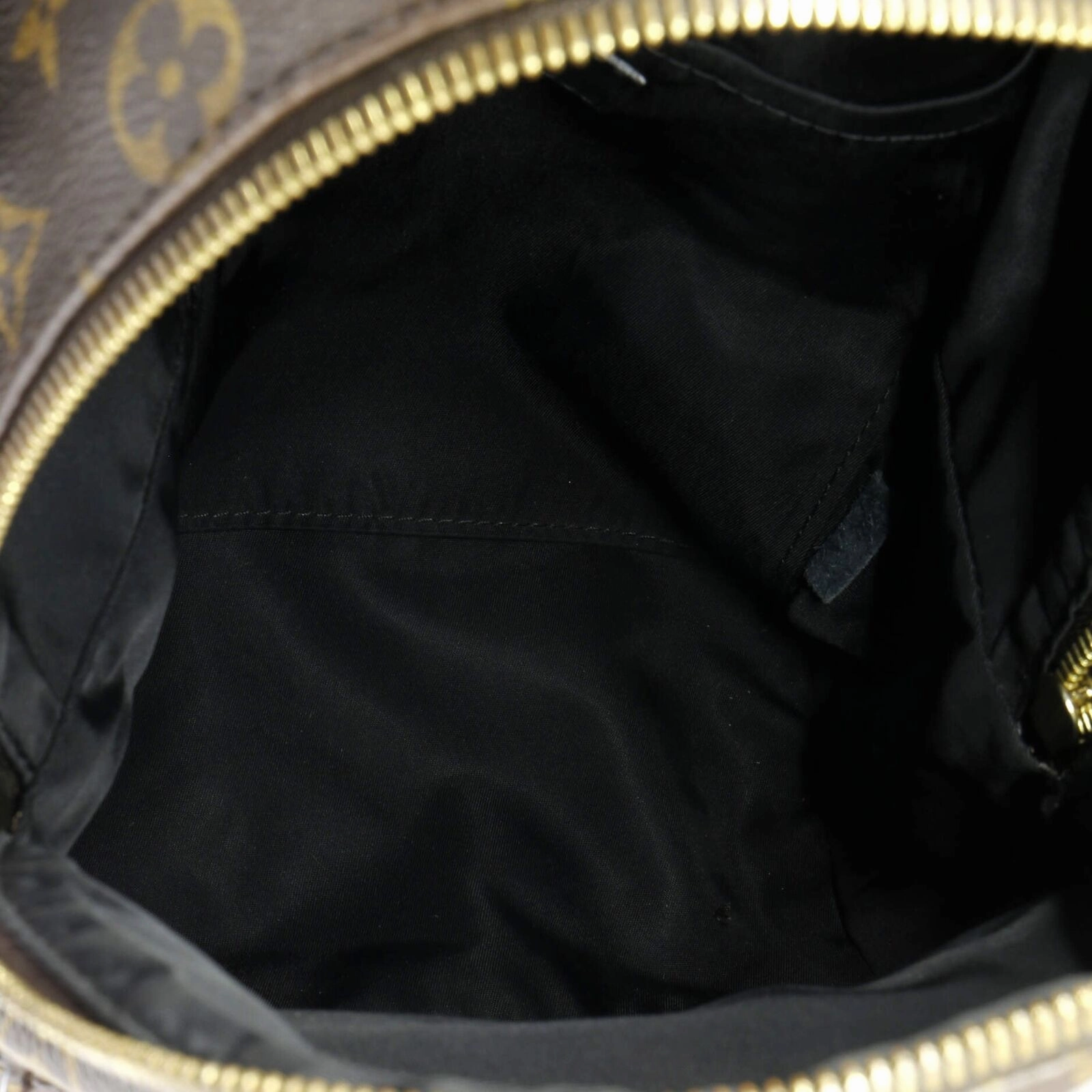 Louis Vuitton Palm Springs Backpack