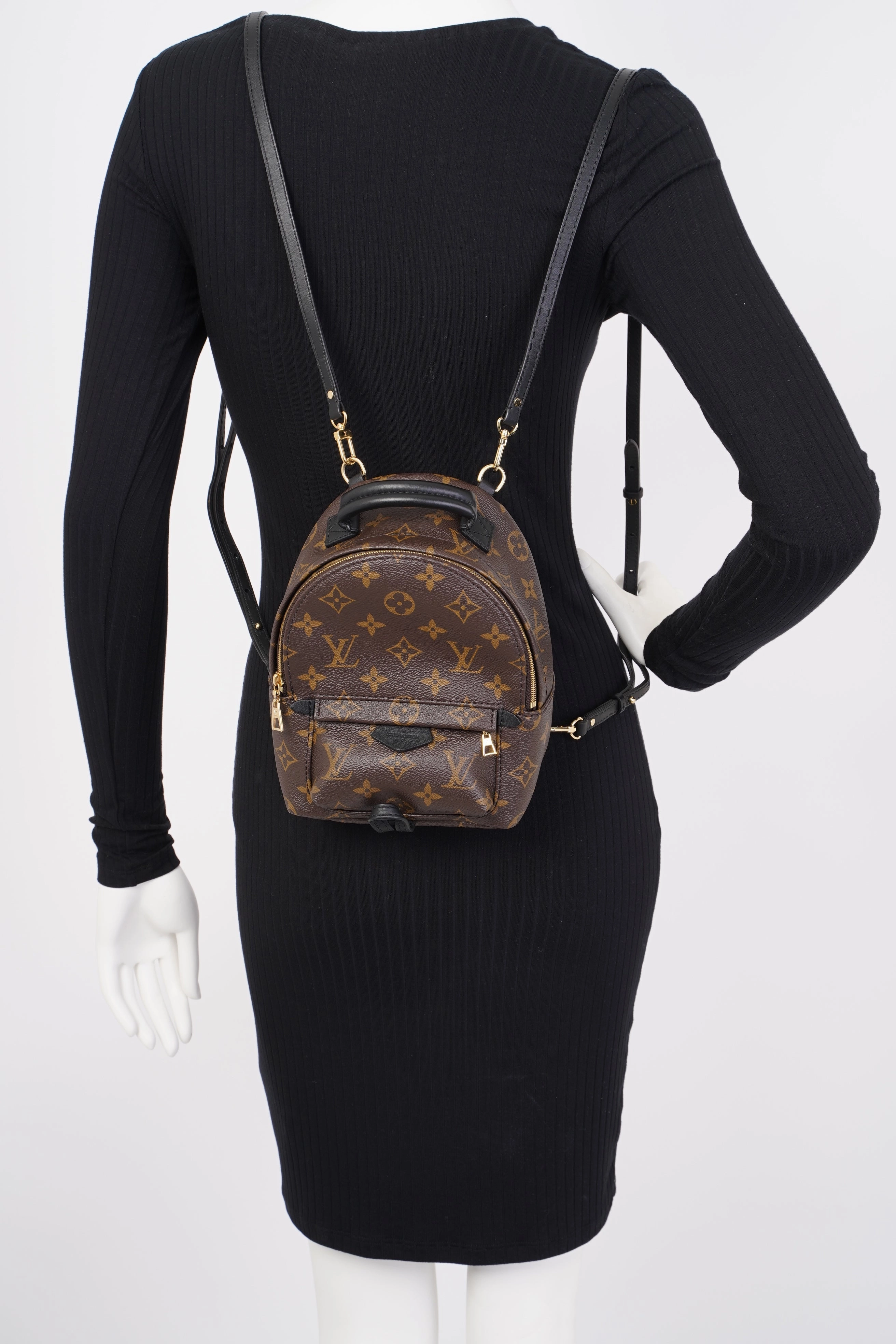 Louis Vuitton Palm Springs Mini Backpack Monogram Coated Canvas