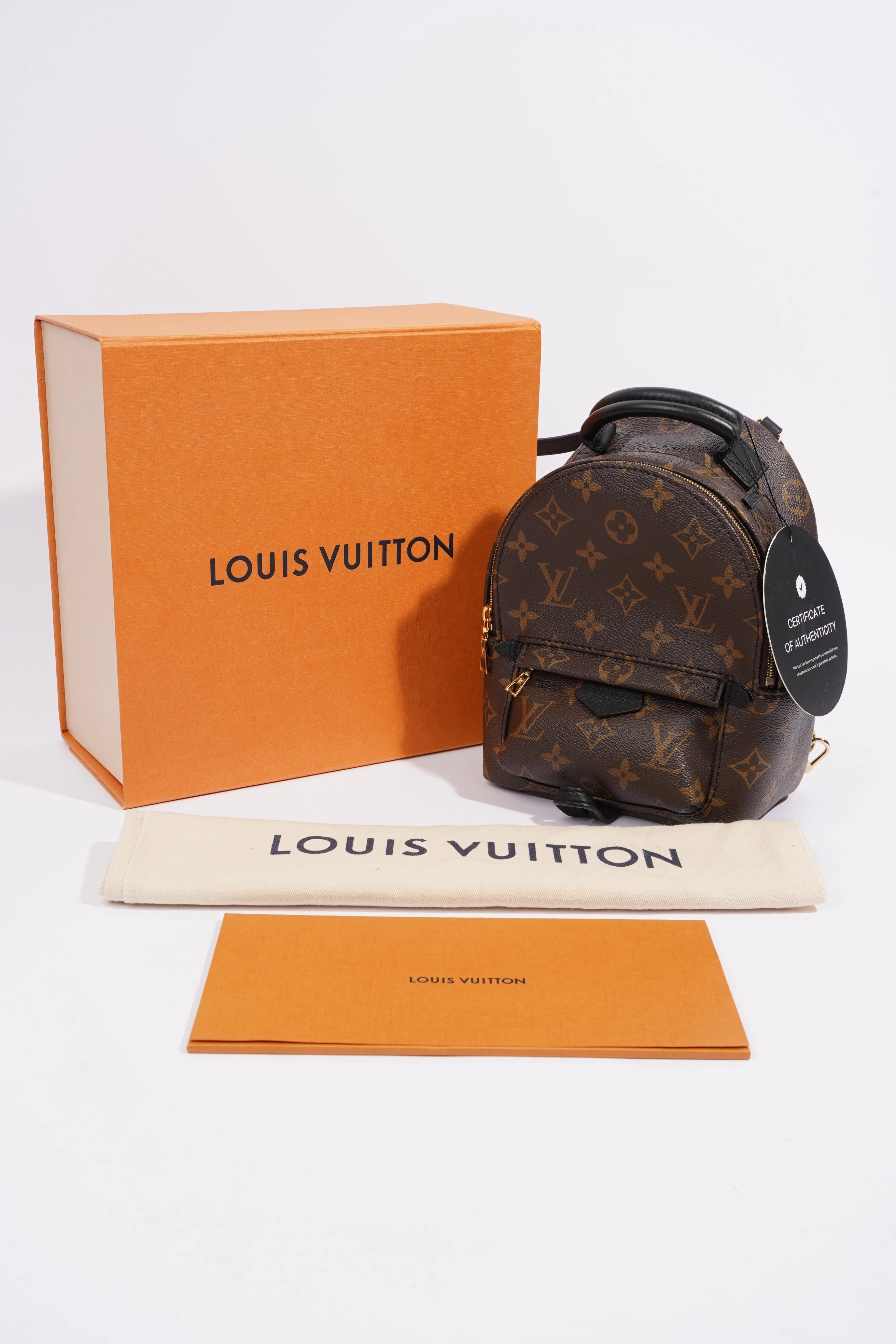 Louis Vuitton Palm Springs Mini Backpack Monogram Coated Canvas