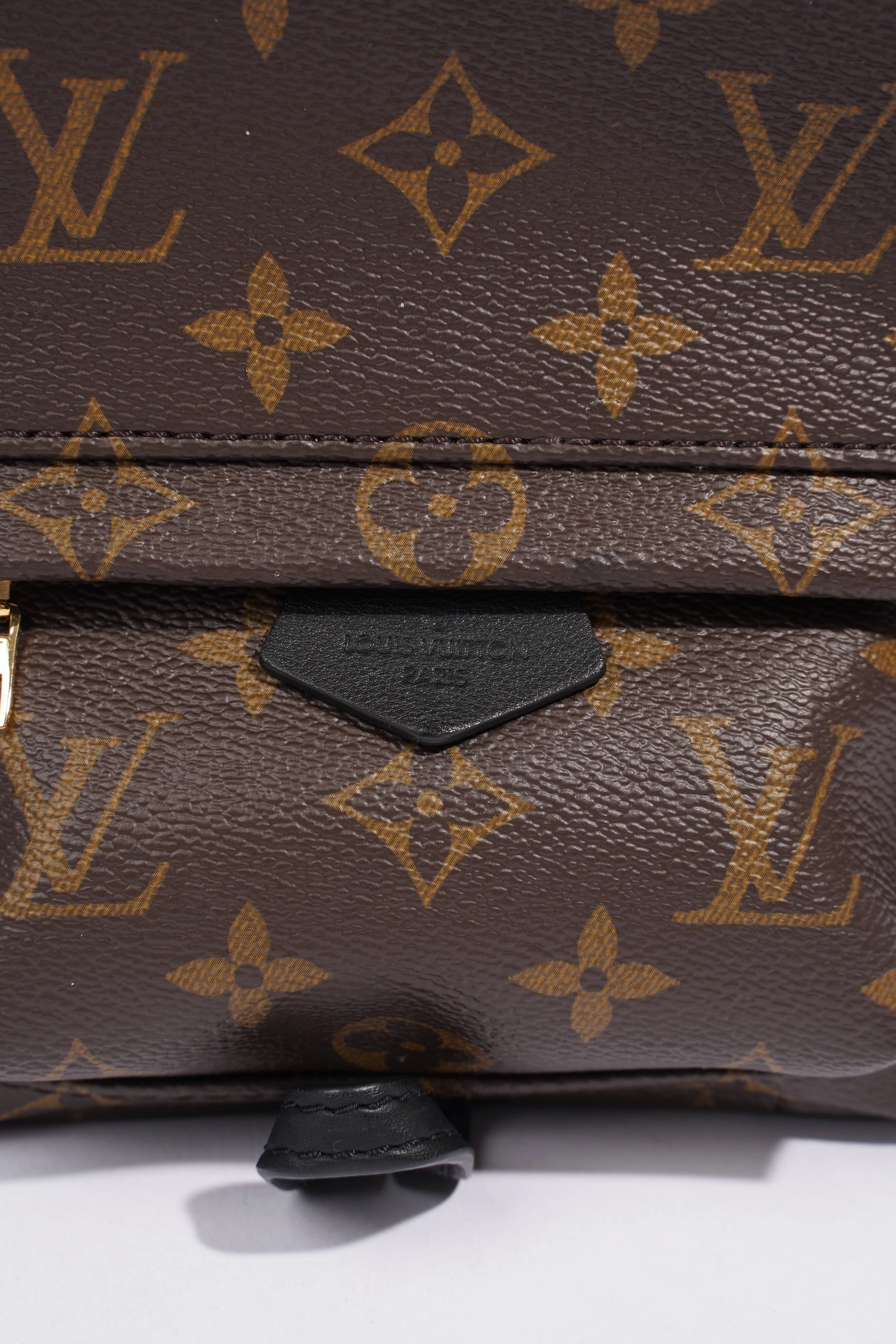 Louis Vuitton Palm Springs Mini Backpack Monogram Coated Canvas