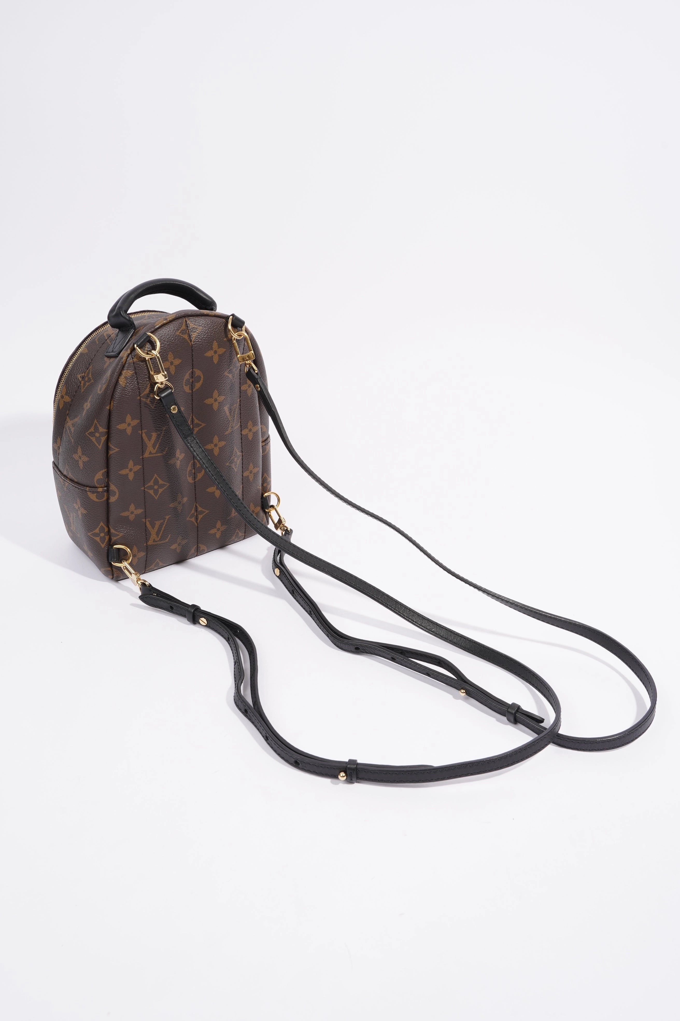 Louis Vuitton Palm Springs Mini Backpack Monogram Coated Canvas