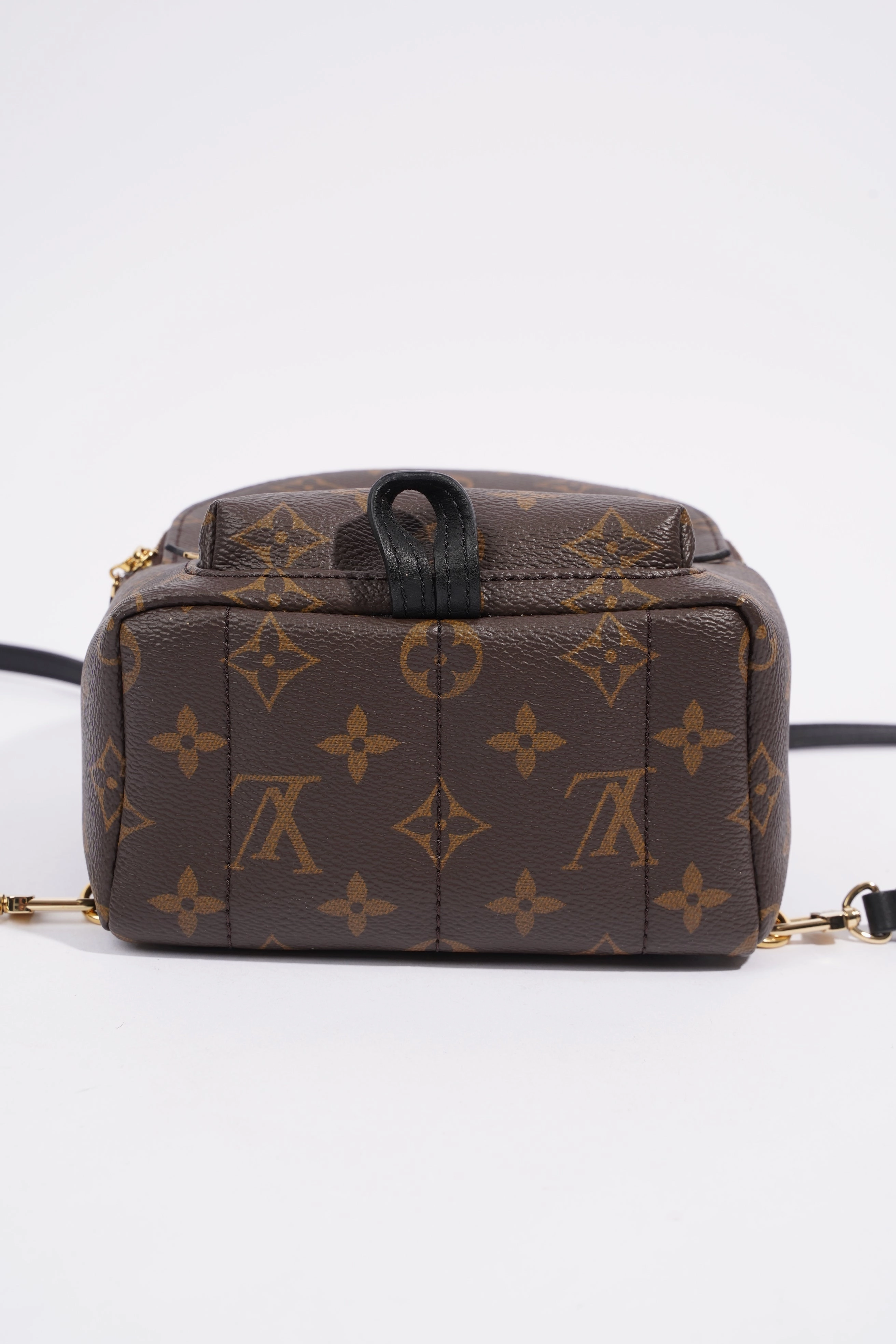 Louis Vuitton Palm Springs Mini Backpack Monogram Coated Canvas