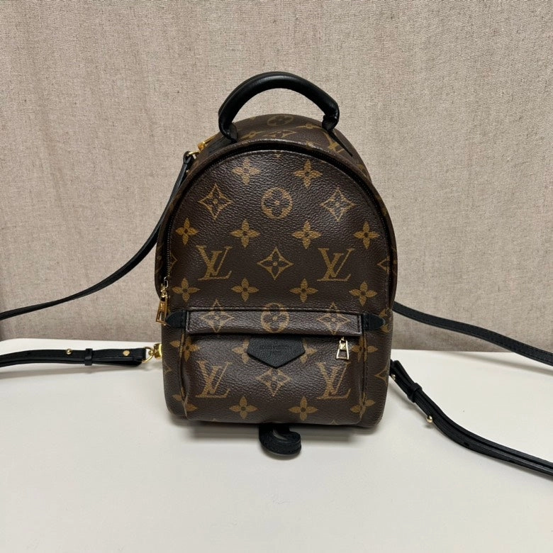 Louis Vuitton Palm Springs Mini Monogram Brown Canvas Backpack