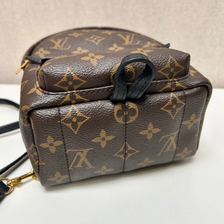 Louis Vuitton Palm Springs Mini Monogram Brown Canvas Backpack