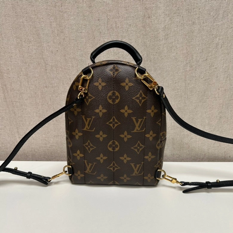 Louis Vuitton Palm Springs Mini Monogram Brown Canvas Backpack