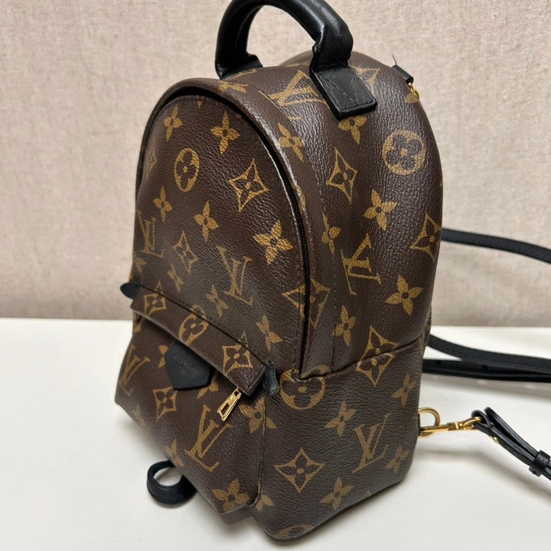 Louis Vuitton Palm Springs Mini Monogram Brown Canvas Backpack
