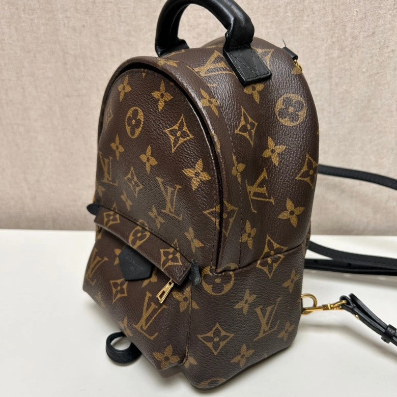 Louis Vuitton Palm Springs Mini Monogram Brown Canvas Backpack