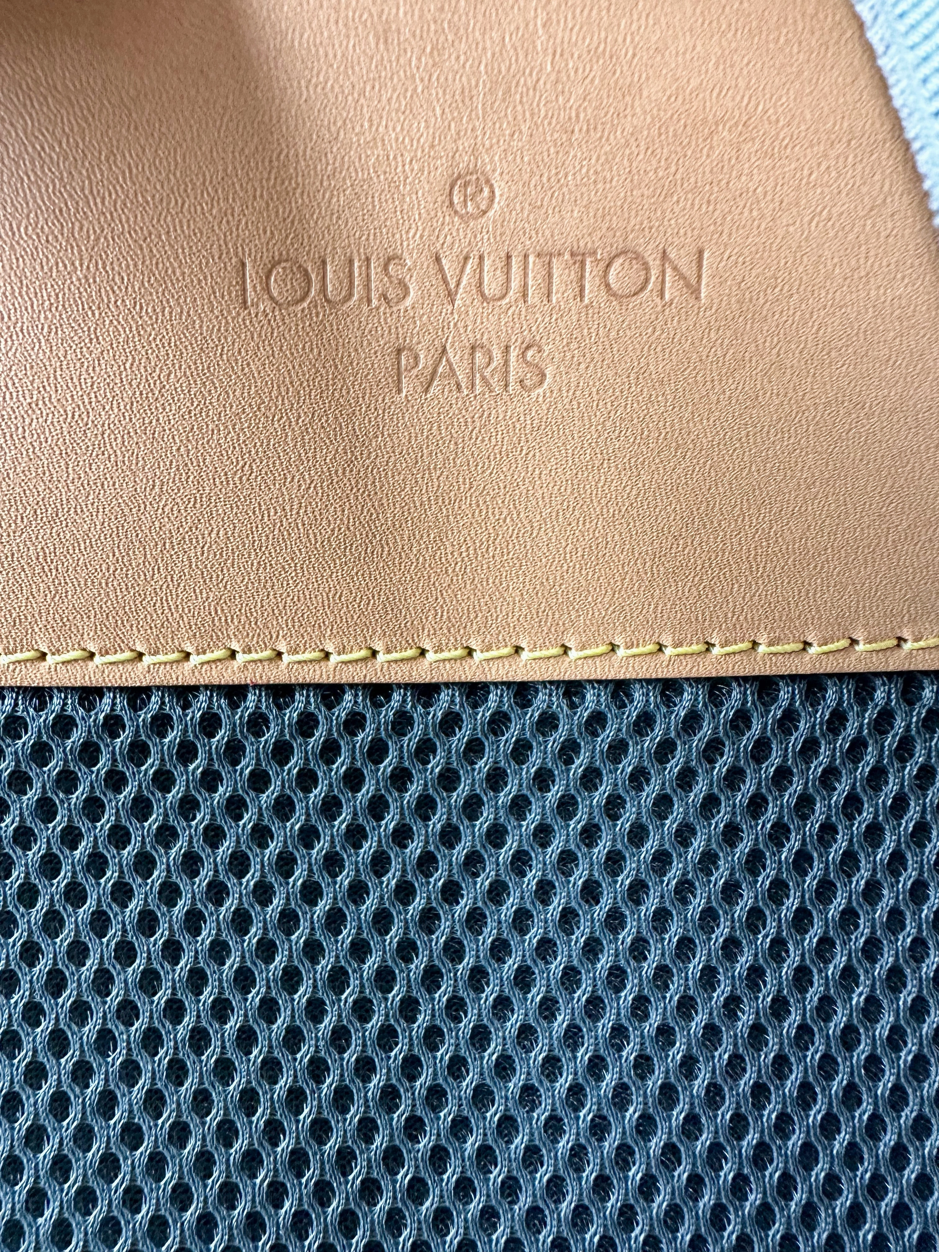 Louis Vuitton Silver Titanium Monogram Backpack