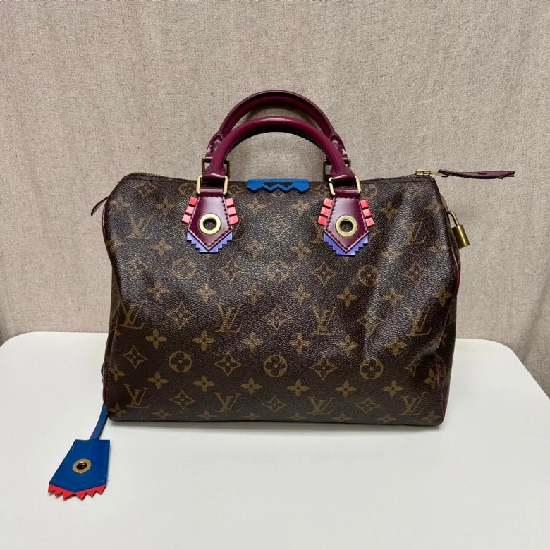 Louis Vuitton Speedy30 Monogram Multicolor Canvas Crossbody Bag