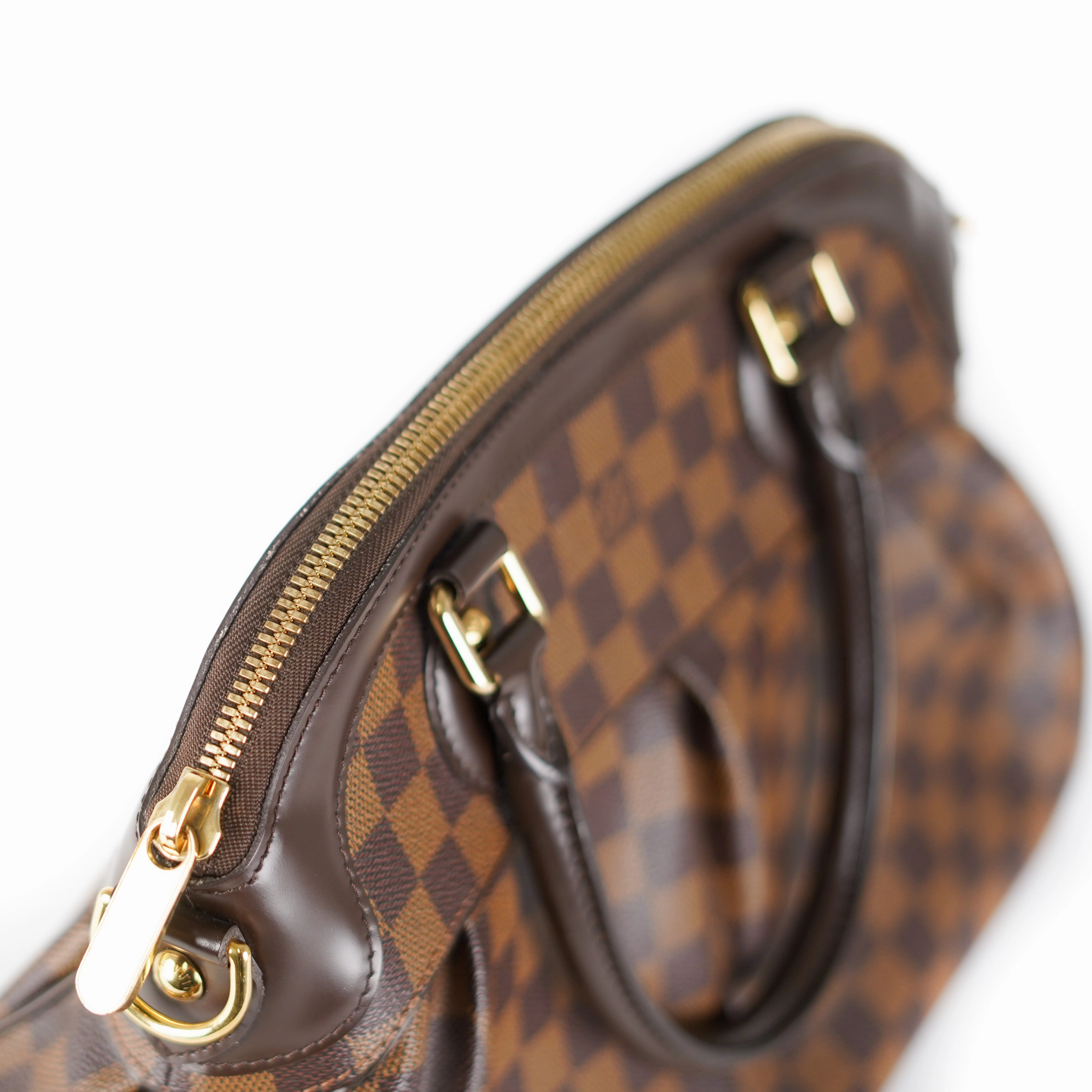Louis Vuitton Trevi PM Damier Ebene