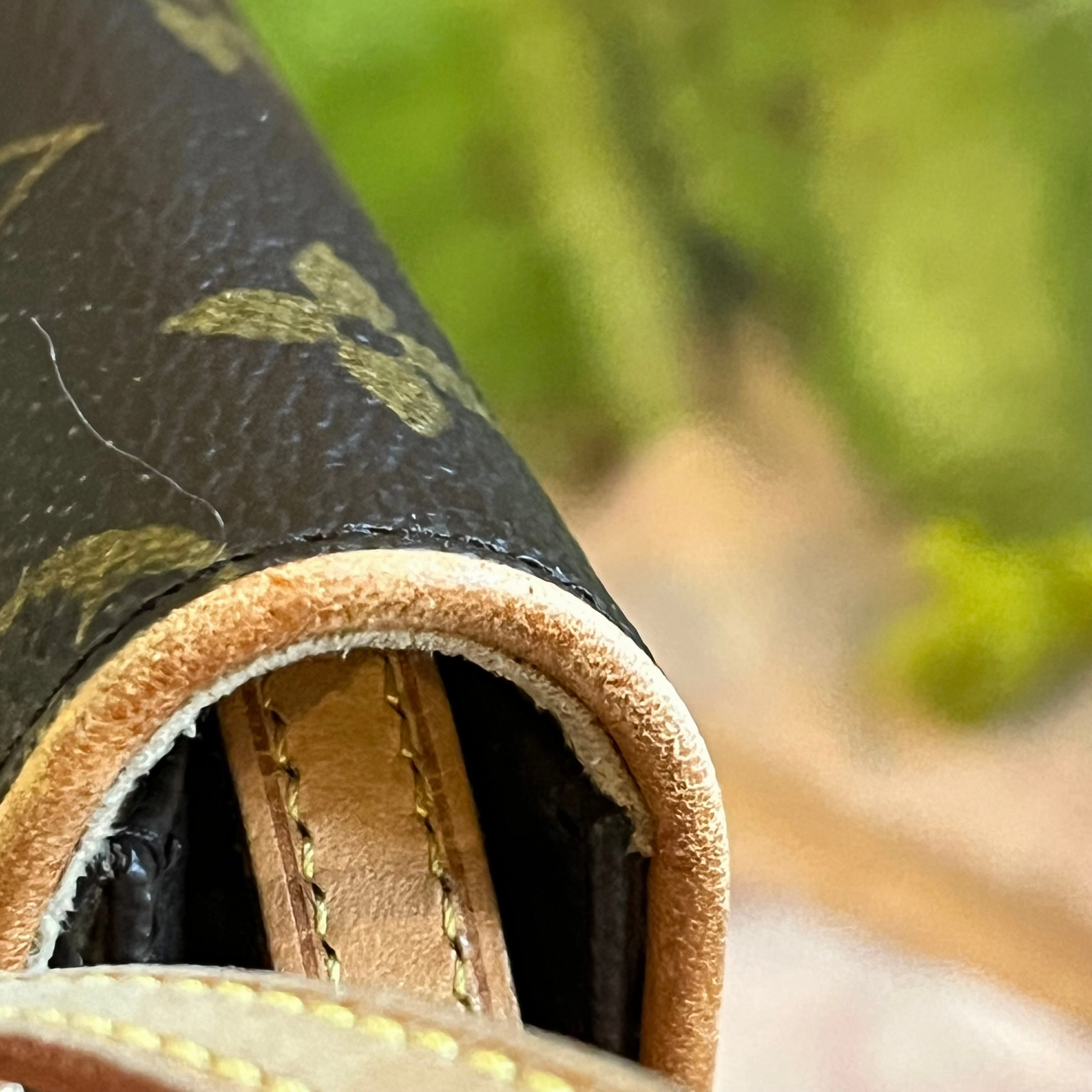 LOUIS VUITTON Twin Pochette GM Monogram Canvas Crossbody Bag