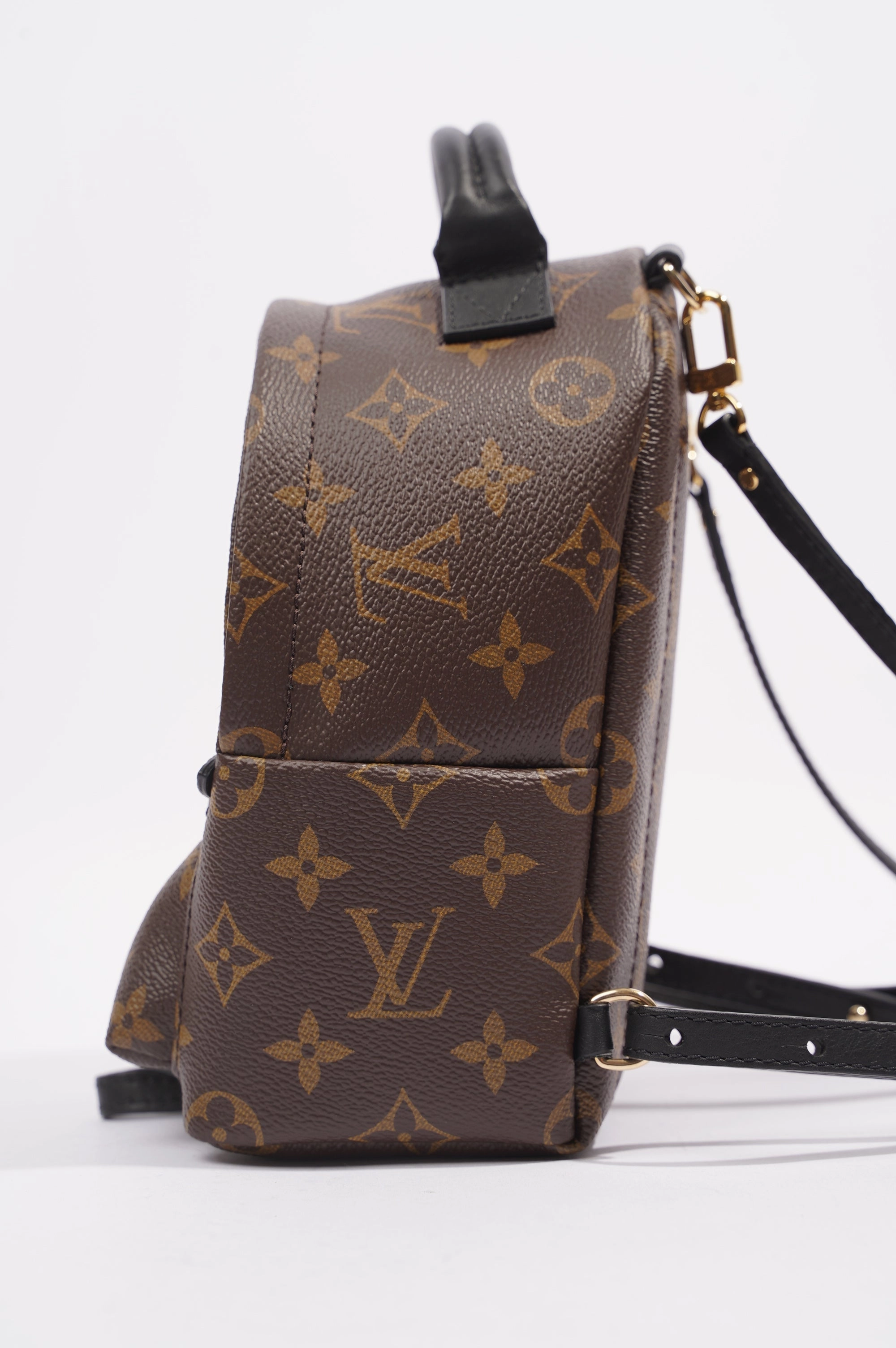 Louis Vuitton Womens Palm Spring Backpack Monogram Canvas Mini