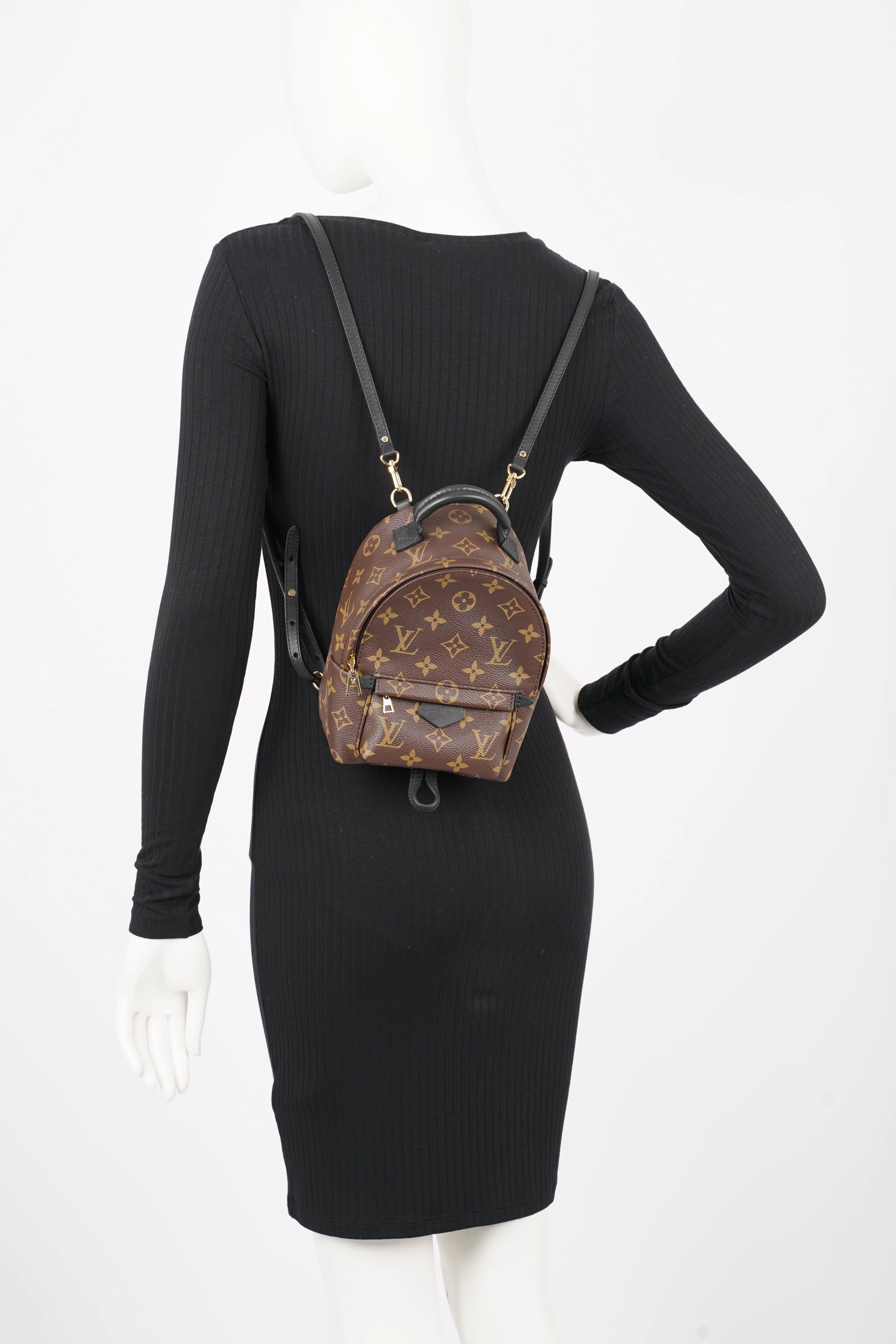 Louis Vuitton Womens Palm Spring Backpack Monogram Canvas Mini