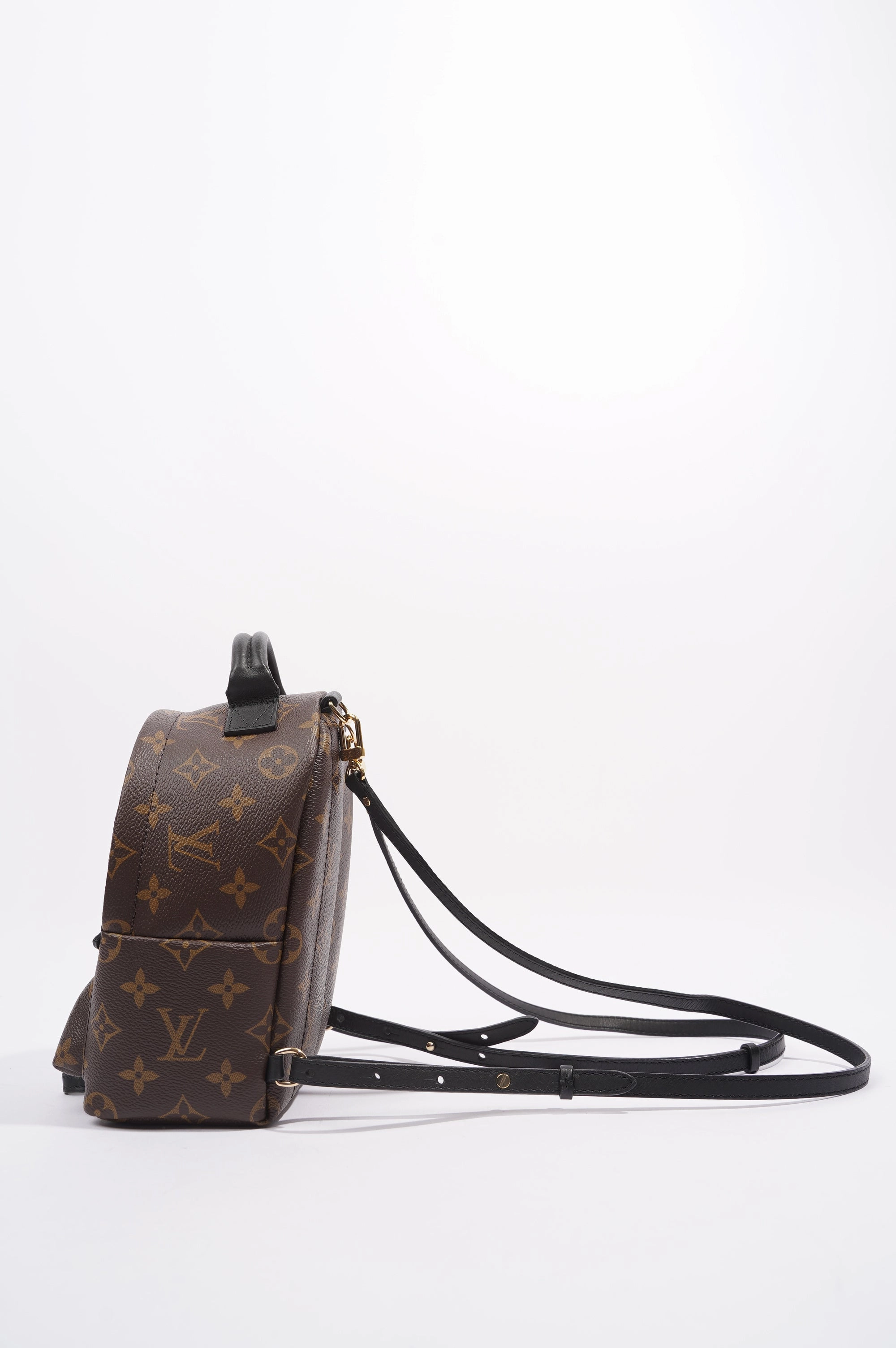 Louis Vuitton Womens Palm Spring Backpack Monogram Canvas Mini