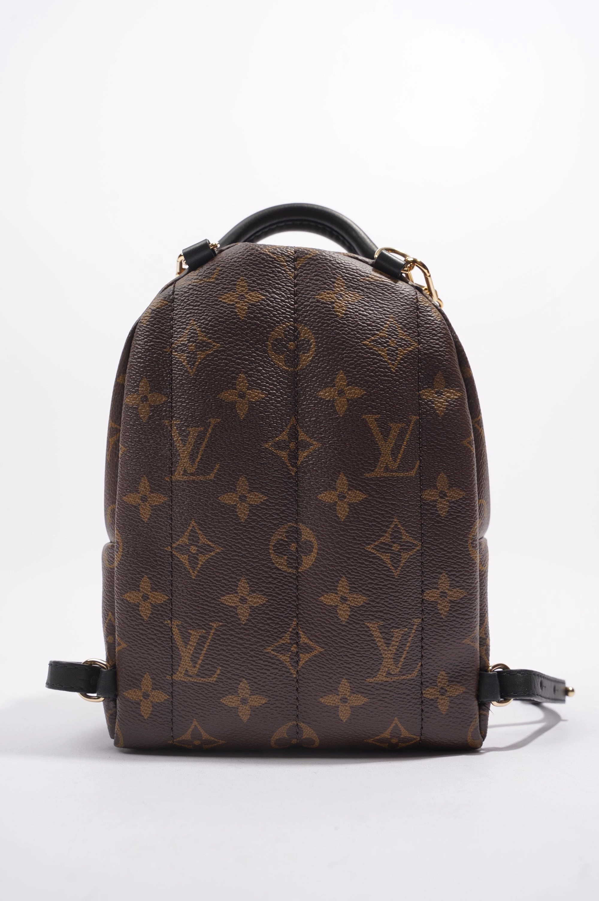 Louis Vuitton Womens Palm Spring Backpack Monogram Canvas Mini