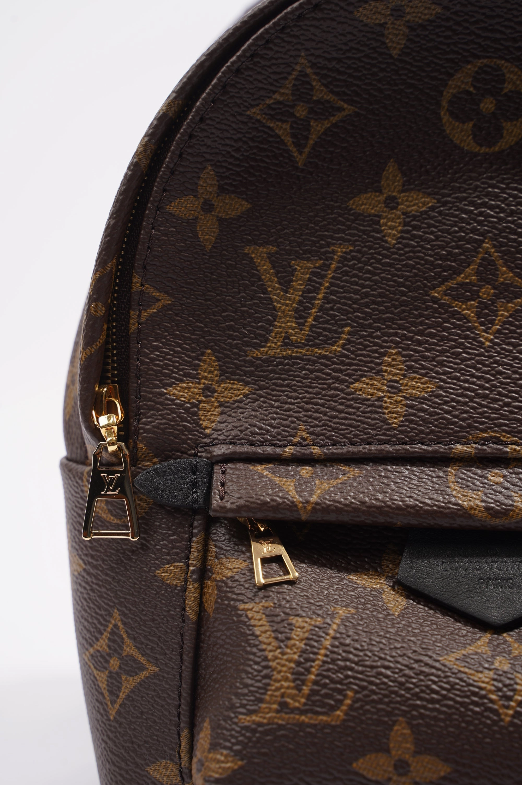 Louis Vuitton Womens Palm Spring Backpack Monogram Canvas Mini