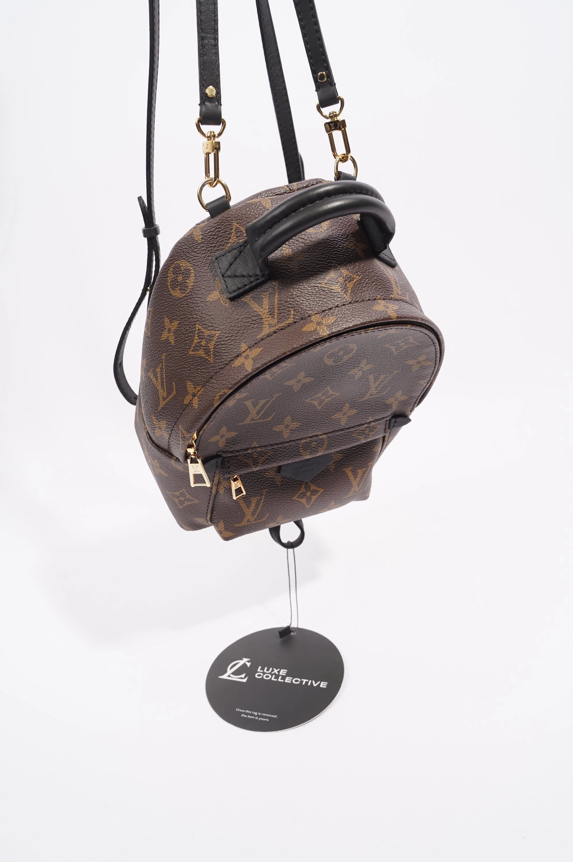 Louis Vuitton Womens Palm Spring Backpack Monogram Canvas Mini