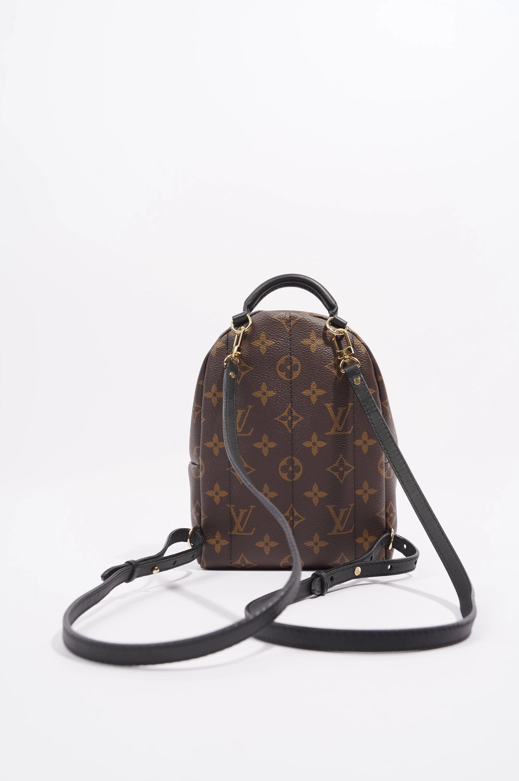Louis Vuitton Womens Palm Spring Backpack Monogram Canvas Mini