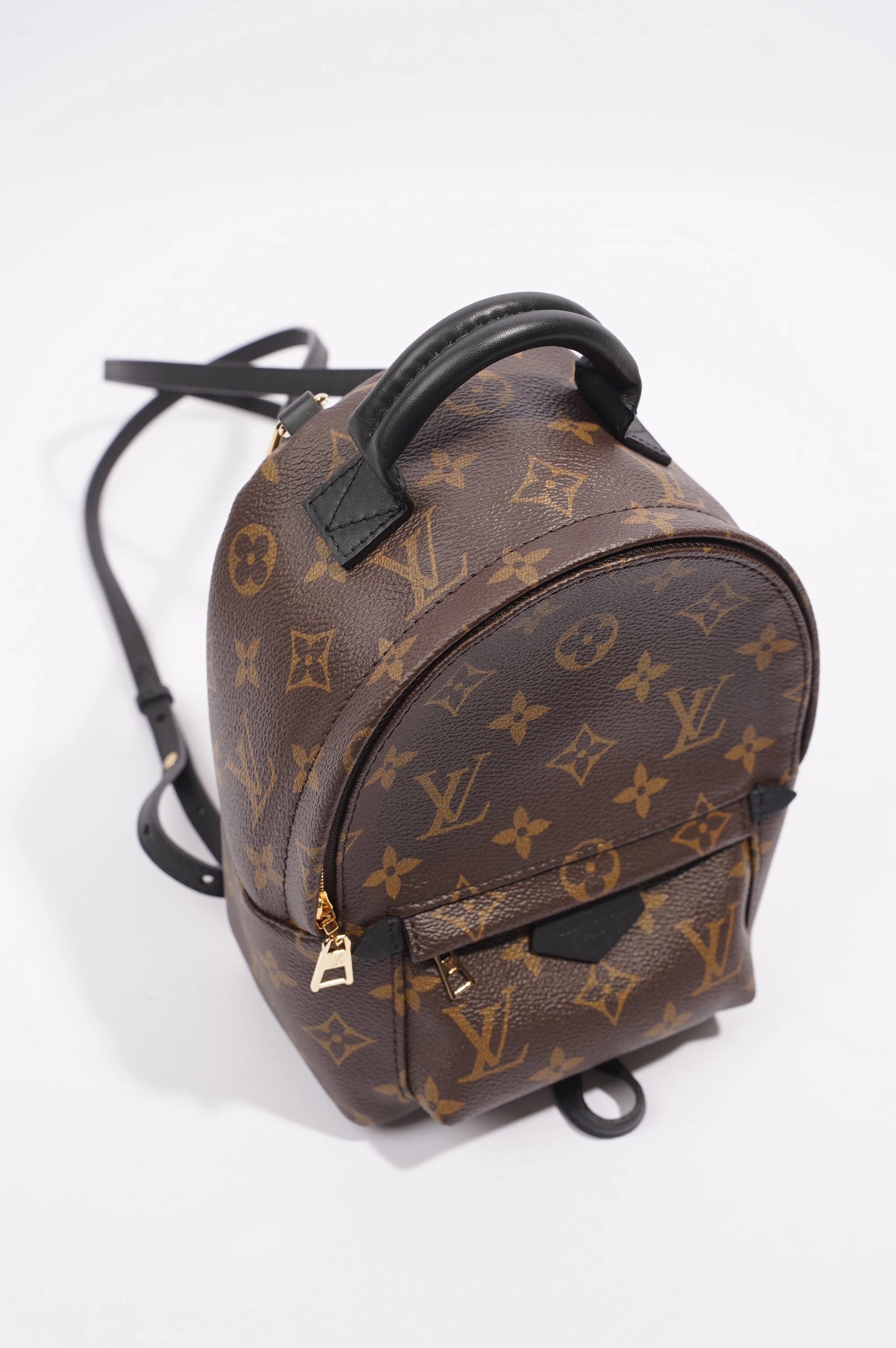 Louis Vuitton Womens Palm Spring Backpack Monogram Canvas Mini