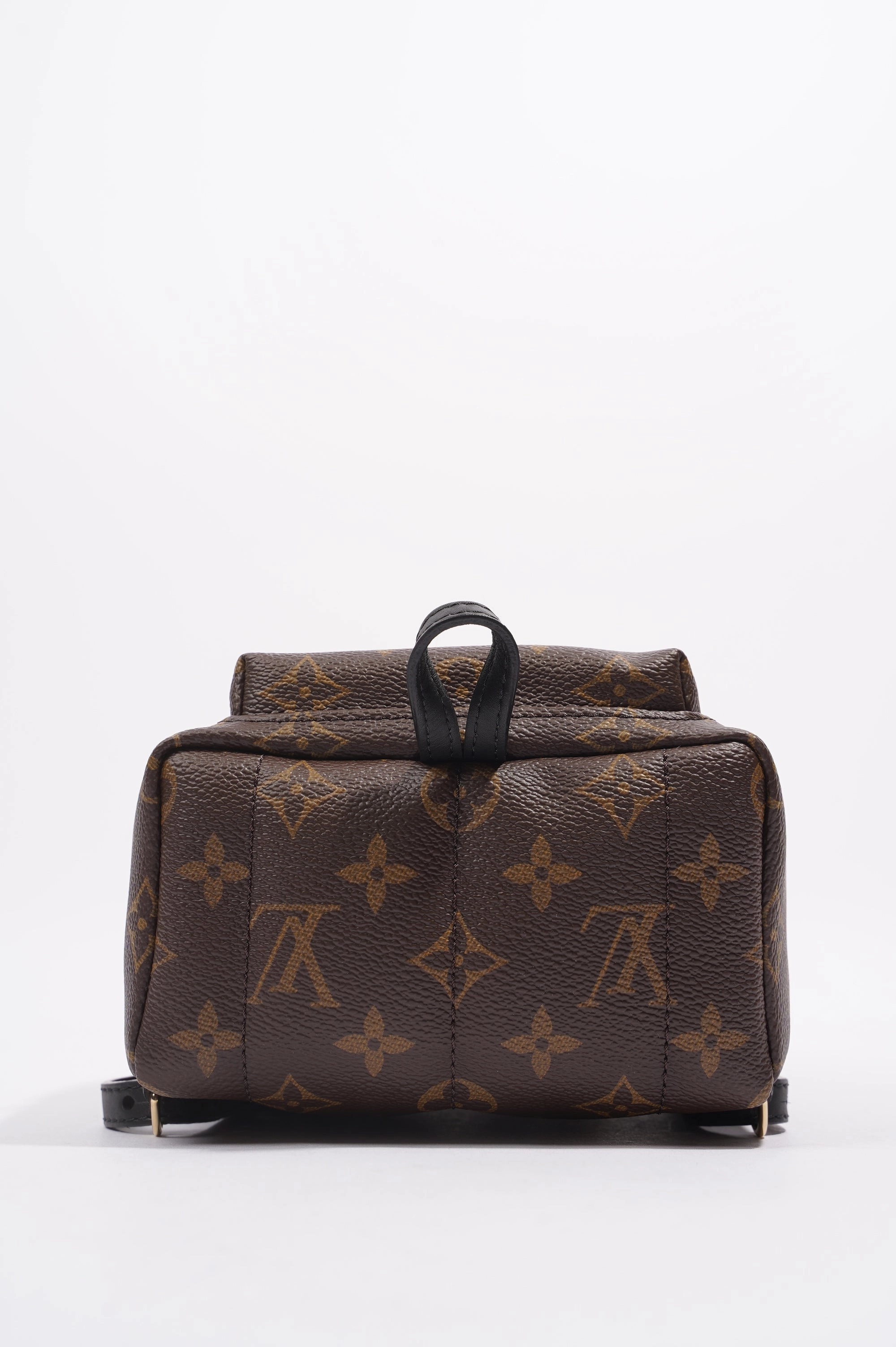 Louis Vuitton Womens Palm Spring Backpack Monogram Canvas Mini