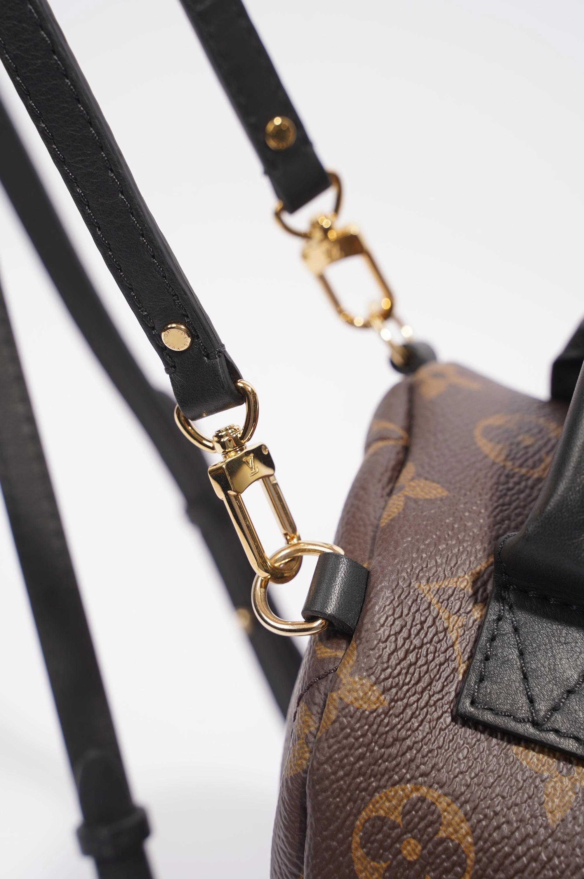Louis Vuitton Womens Palm Spring Backpack Monogram Canvas Mini