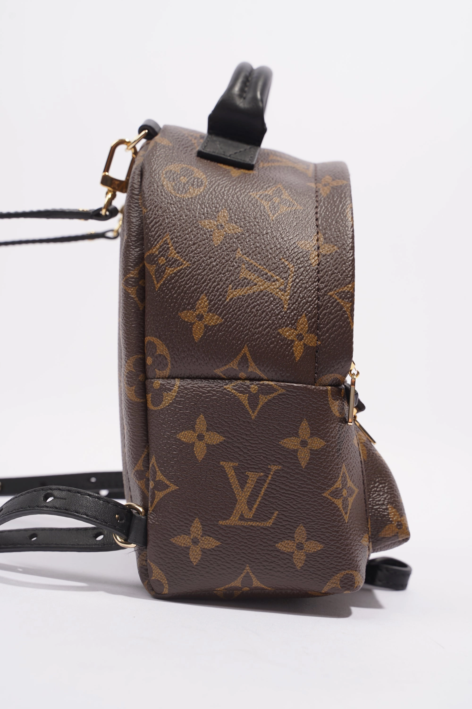 Louis Vuitton Womens Palm Spring Backpack Monogram Canvas Mini